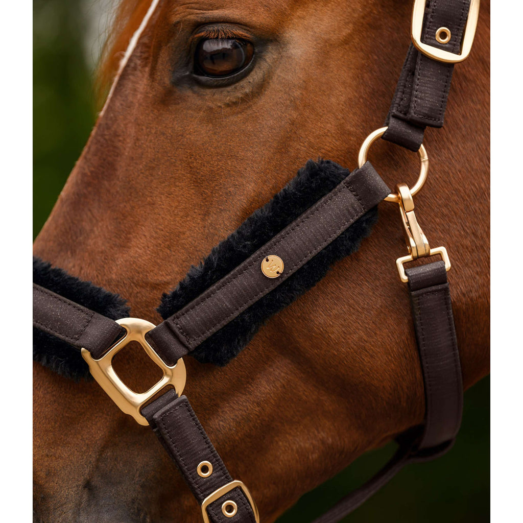 Waldhausen Halter Set Phoenix Espresso