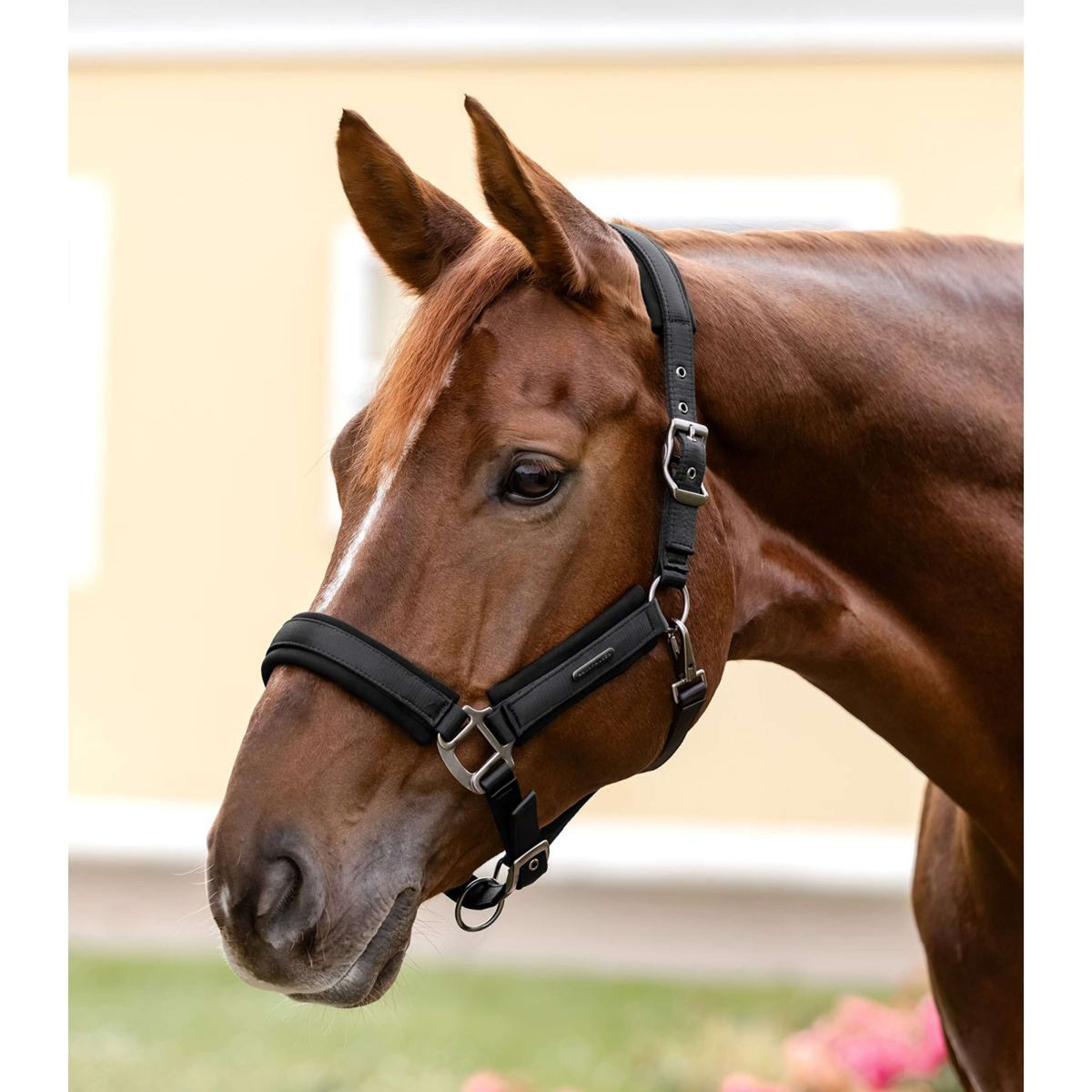 Waldhausen Halter Soft Touch Black