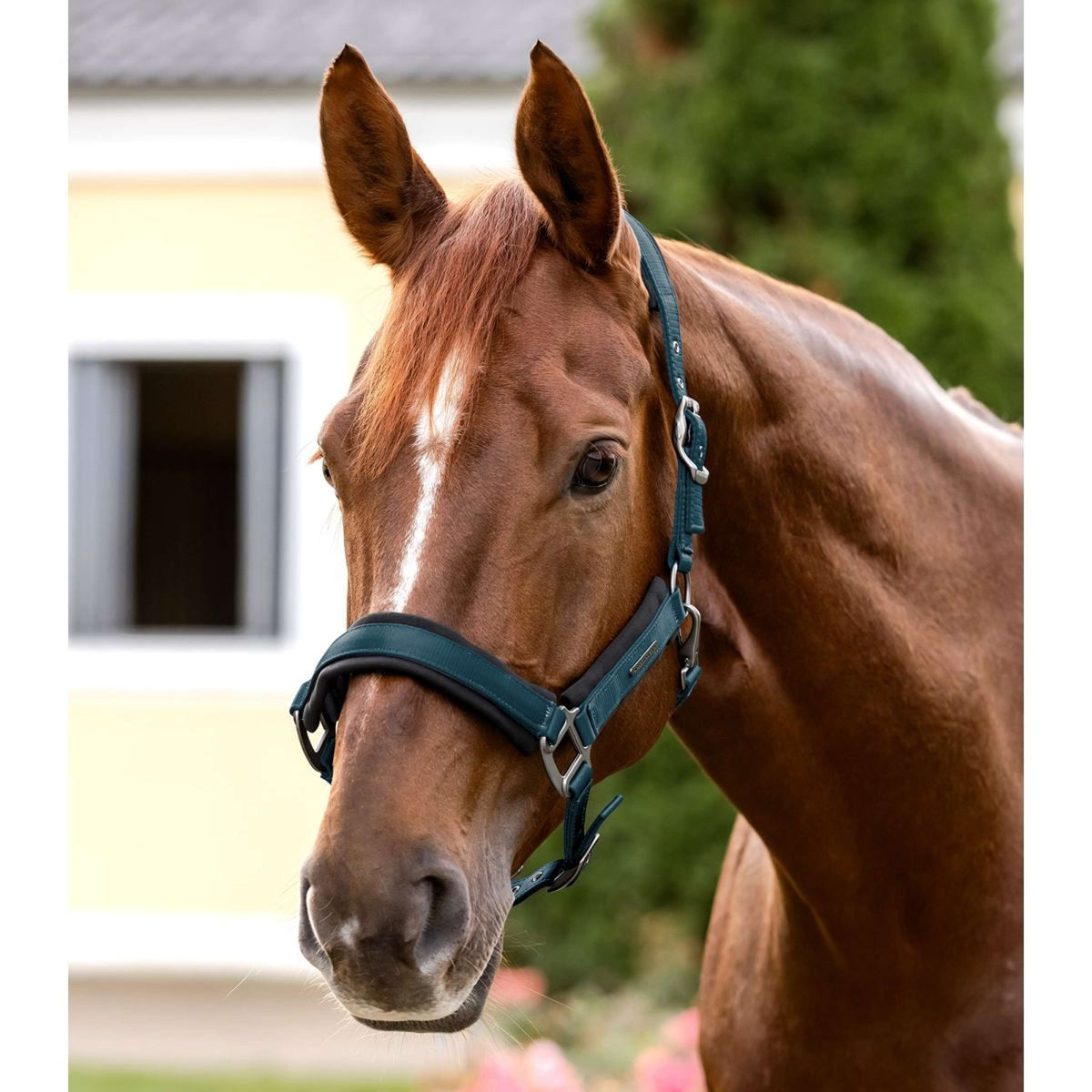 Waldhausen Halter Soft Touch Petrol Blue