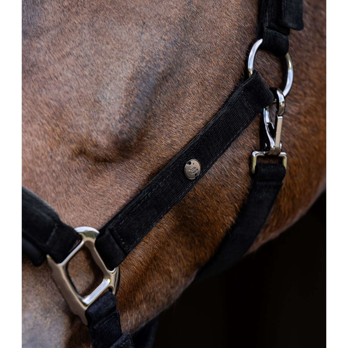 Waldhausen Halter St. Gallen Black