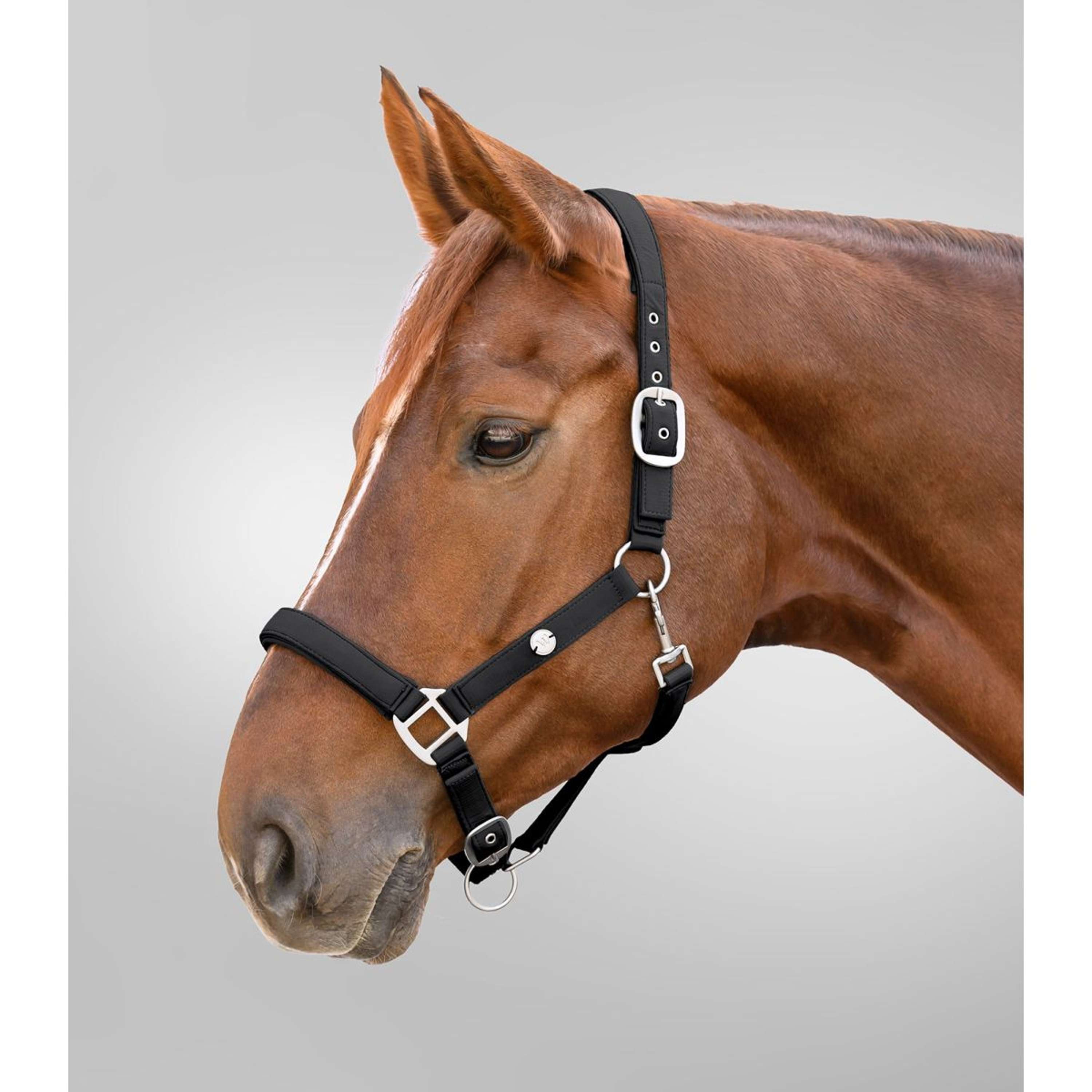 Waldhausen Halter Trinidad Black