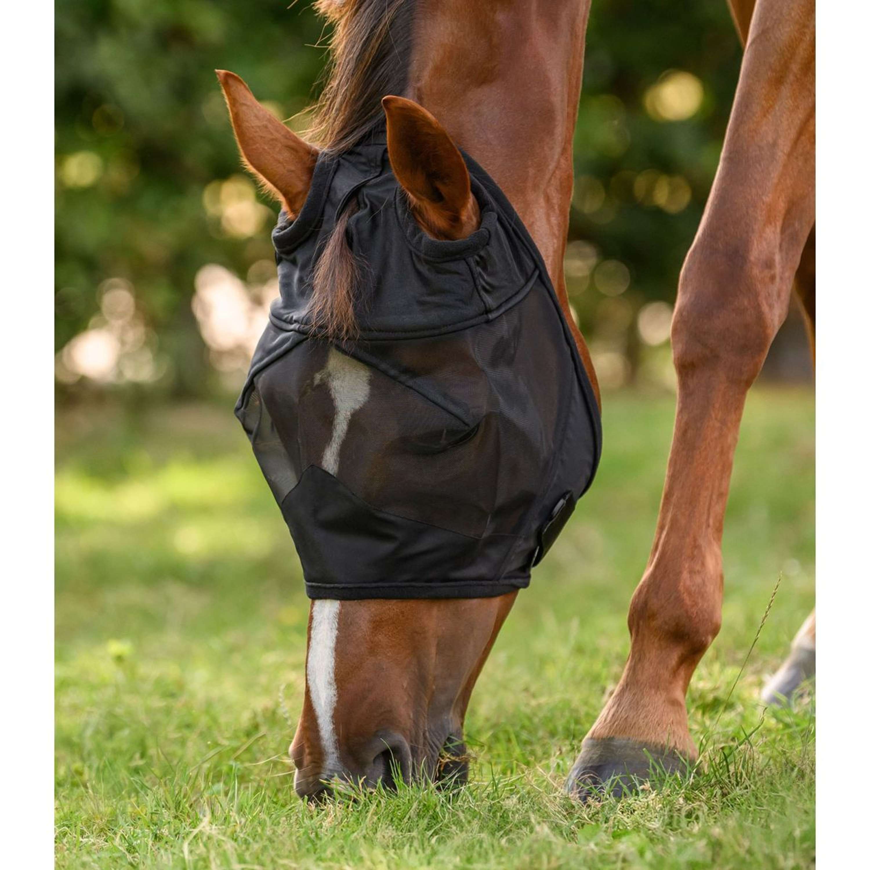 Waldhausen Fly Mask Premium Without Ears Black