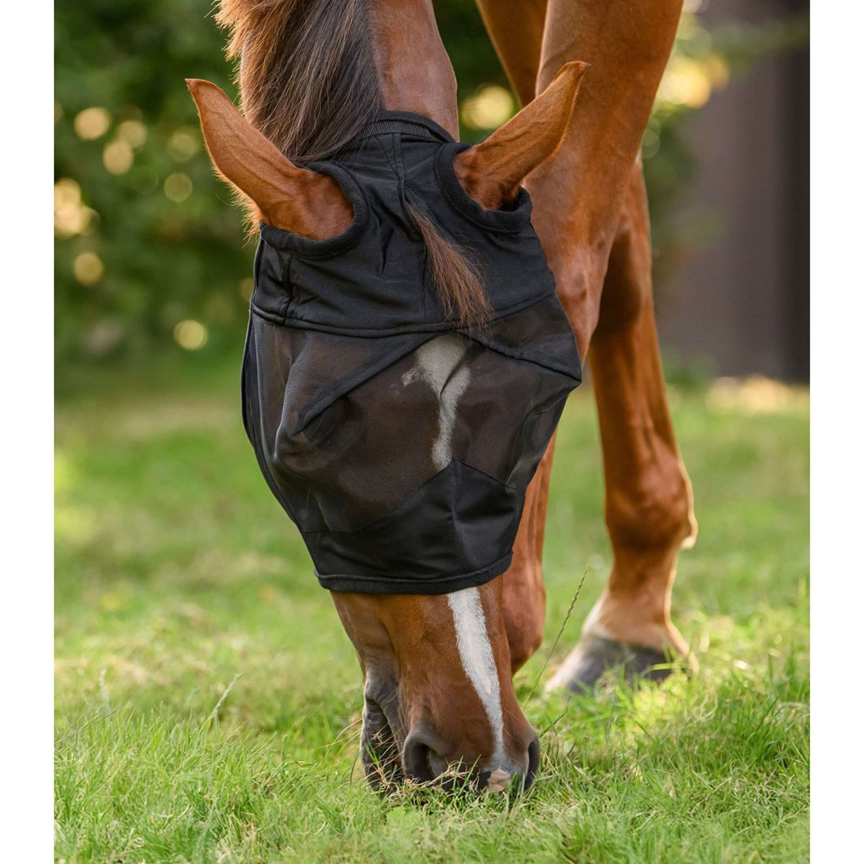 Waldhausen Fly Mask Premium Without Ears Black