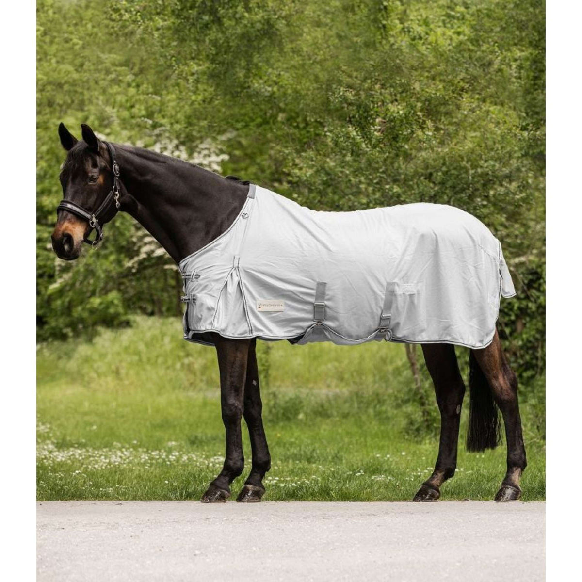 Waldhausen Fly Rug Protect Silver grey/Gray