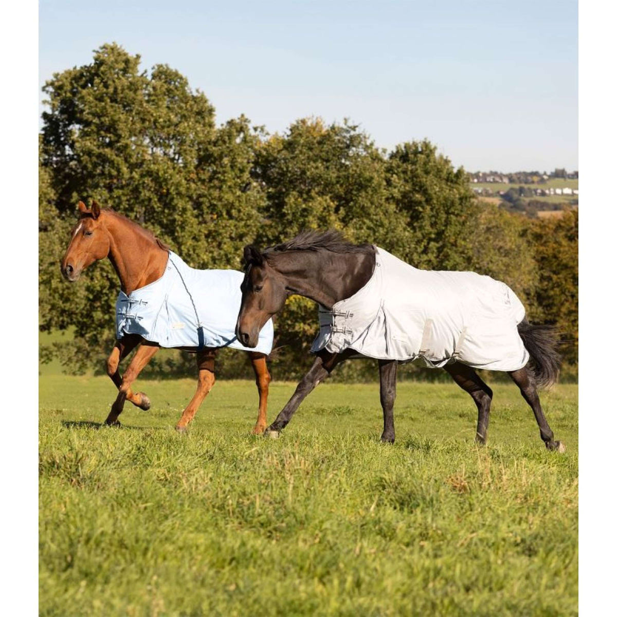 Waldhausen Fly Rug Protect Silver grey/Gray