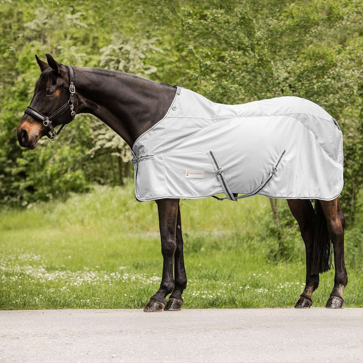 Waldhausen Fly Rug Protect Waterproof Silver grey/Grey/Grey