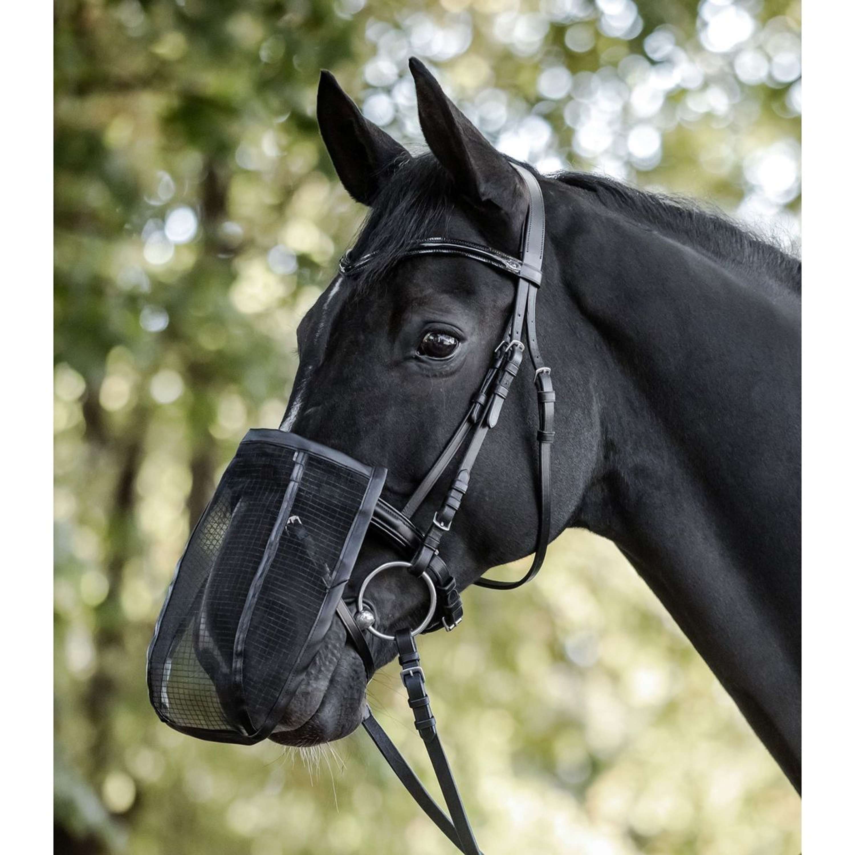 Waldhausen Nose Net Black