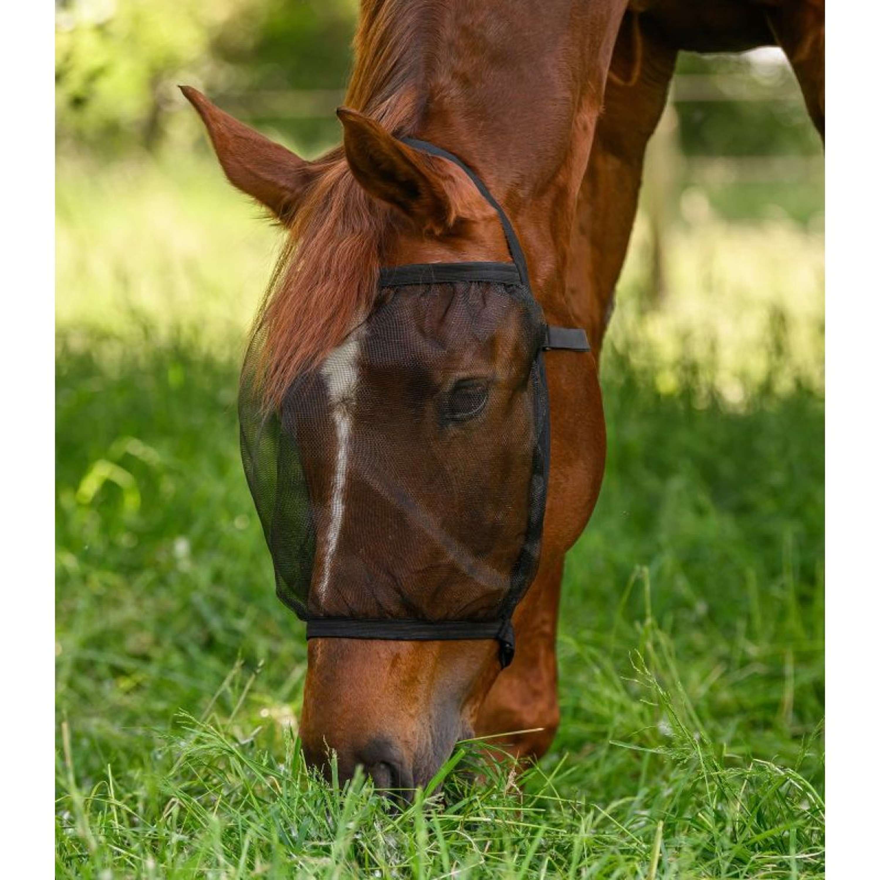 Waldhausen Fly Mask Basic without Ears Black