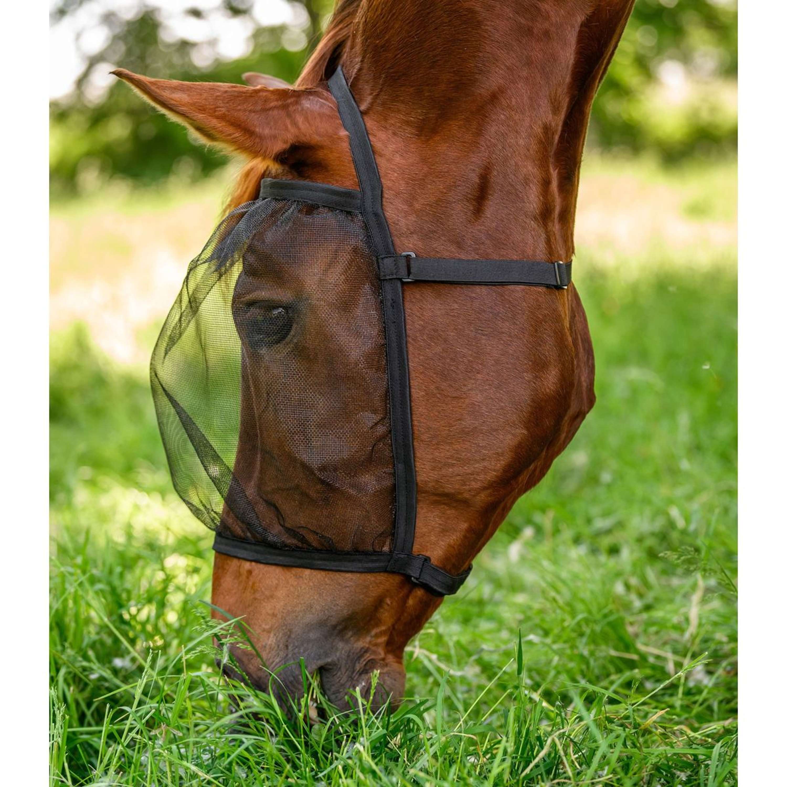 Waldhausen Fly Mask Basic without Ears Black