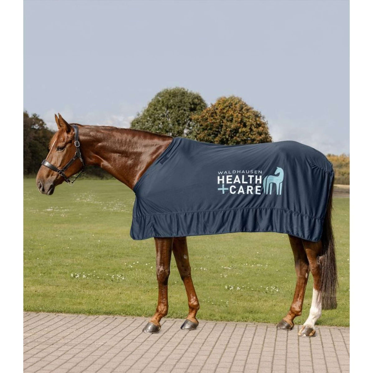 Waldhausen Health + Care Cooling Rug Ice Layer Night Blue