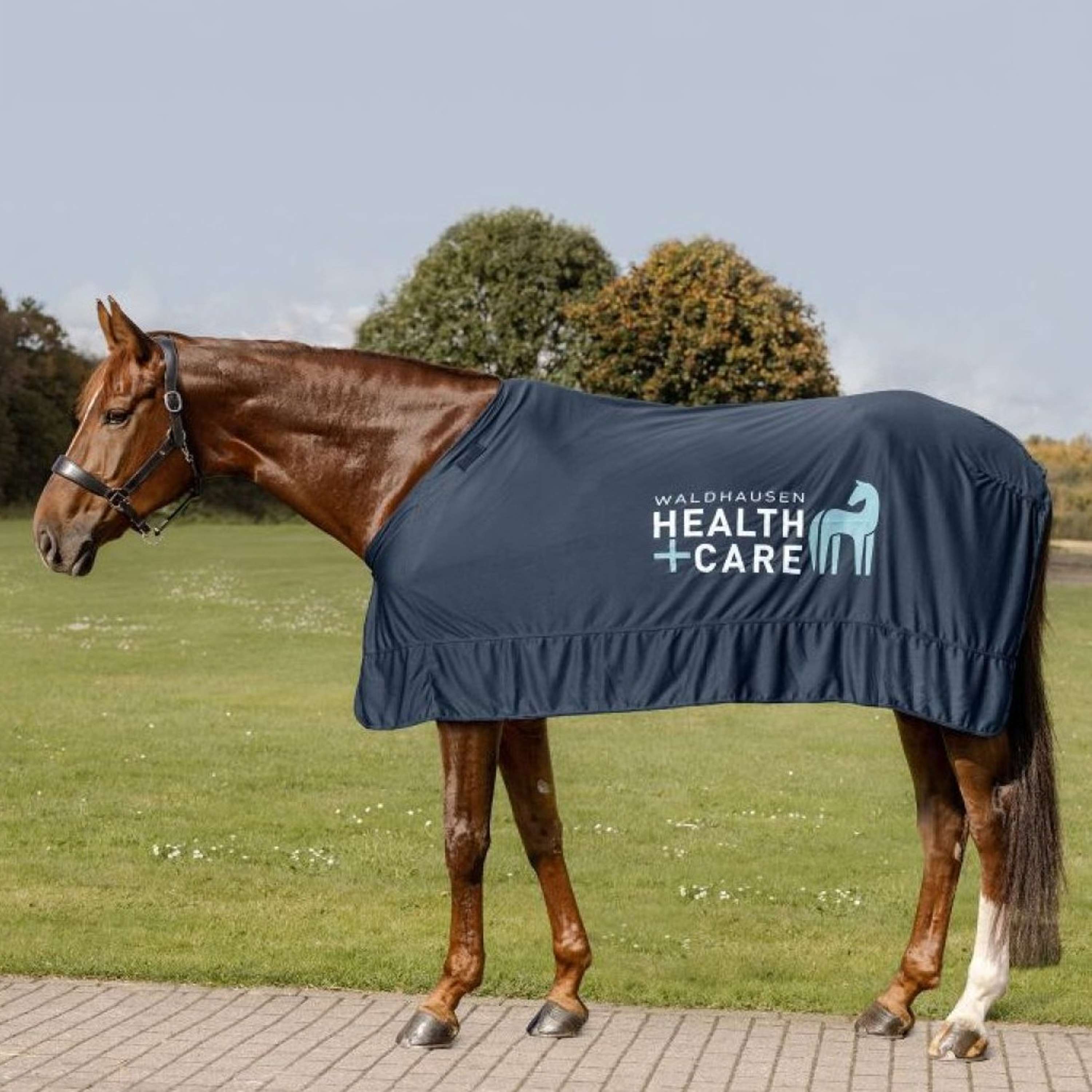 Waldhausen Health + Care Cooling Rug Ice Layer Night Blue