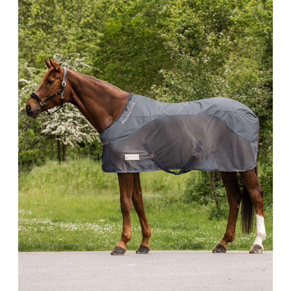 Waldhausen Fly Rug Comfort Waterproof Back Grey