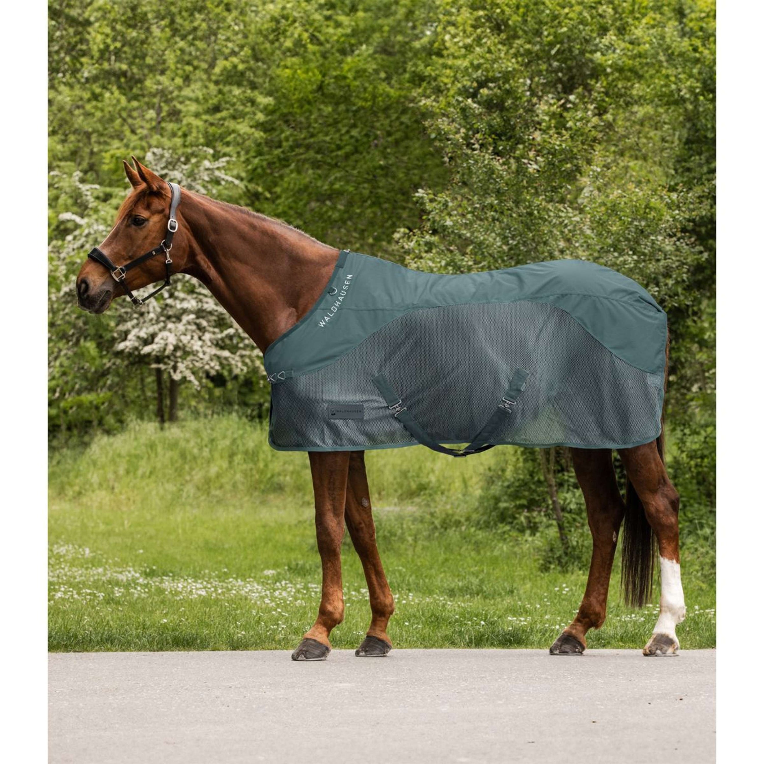 Waldhausen Fly Rug Comfort Waterproof Back Pine Green