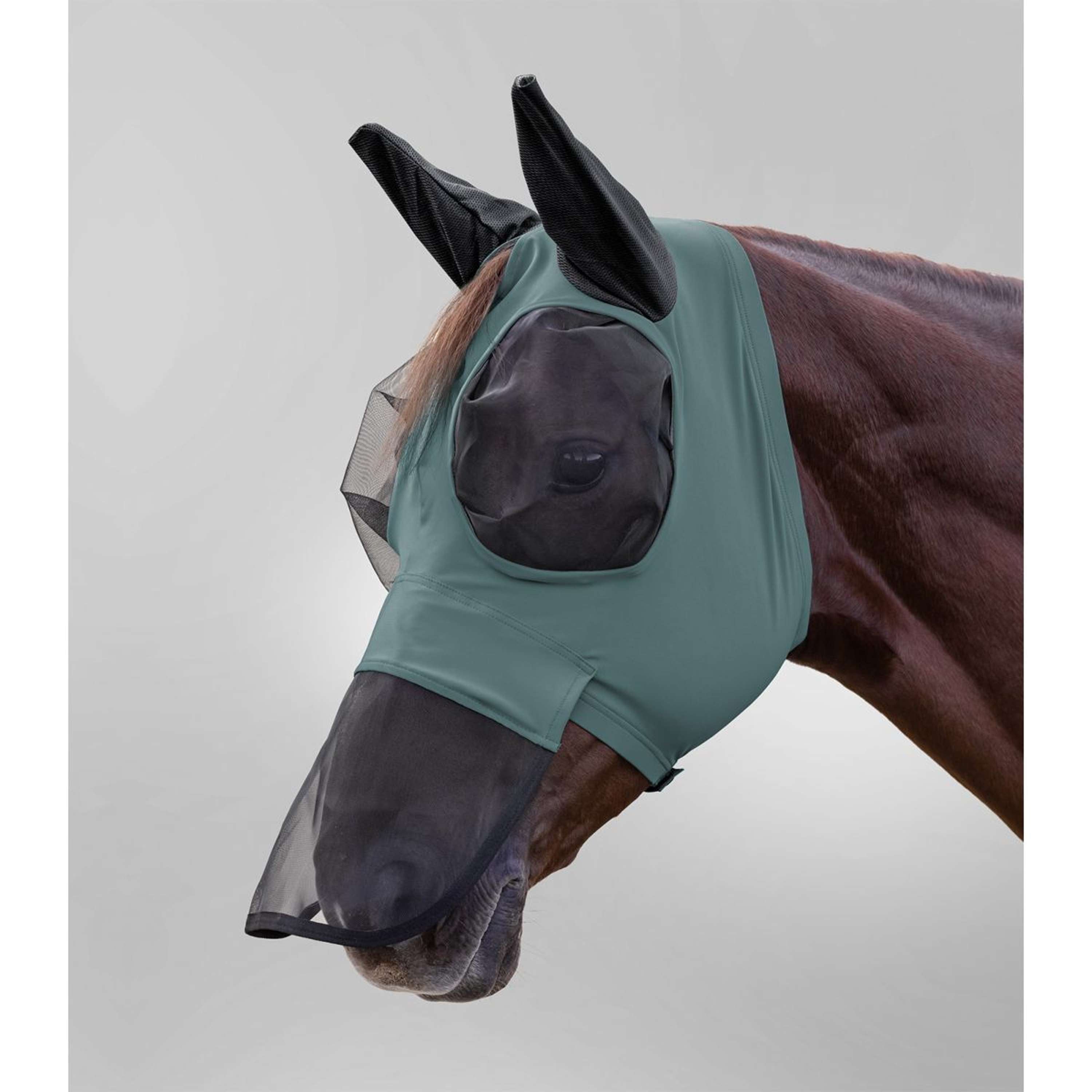 Waldhausen Fly Mask Puck With Nose Protection Pine Green