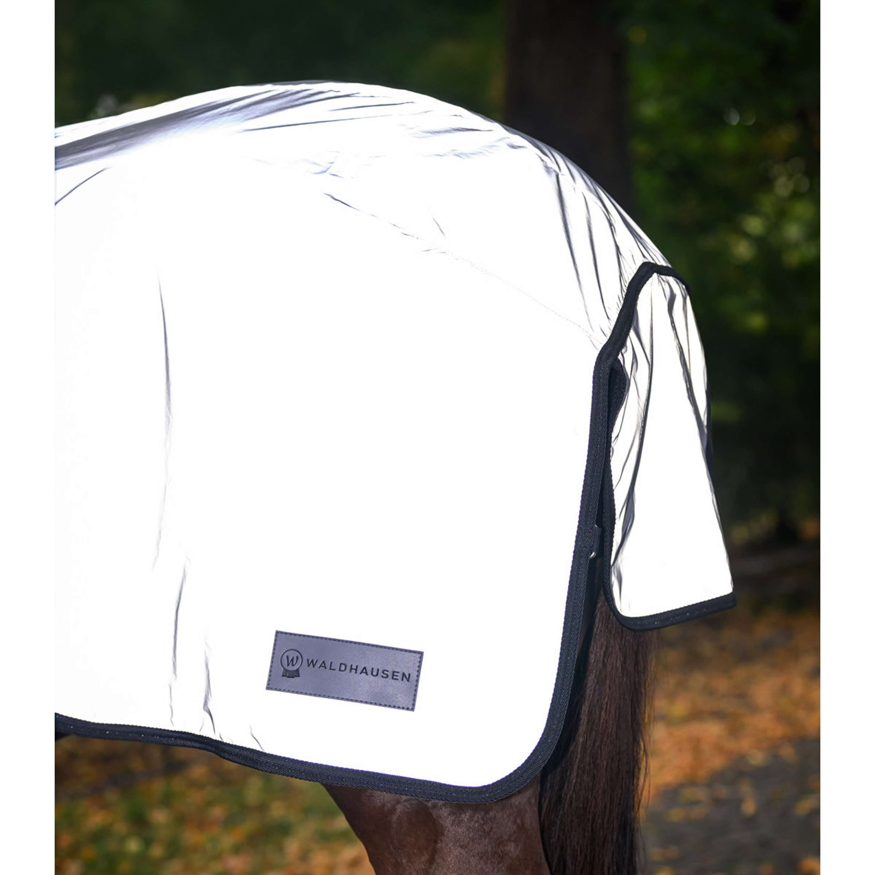 Waldhausen Exercise Rug Reflex Silver Grey