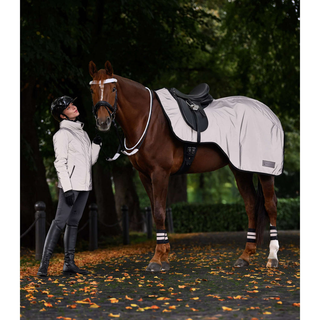 Waldhausen Exercise Rug Reflex Silver Grey