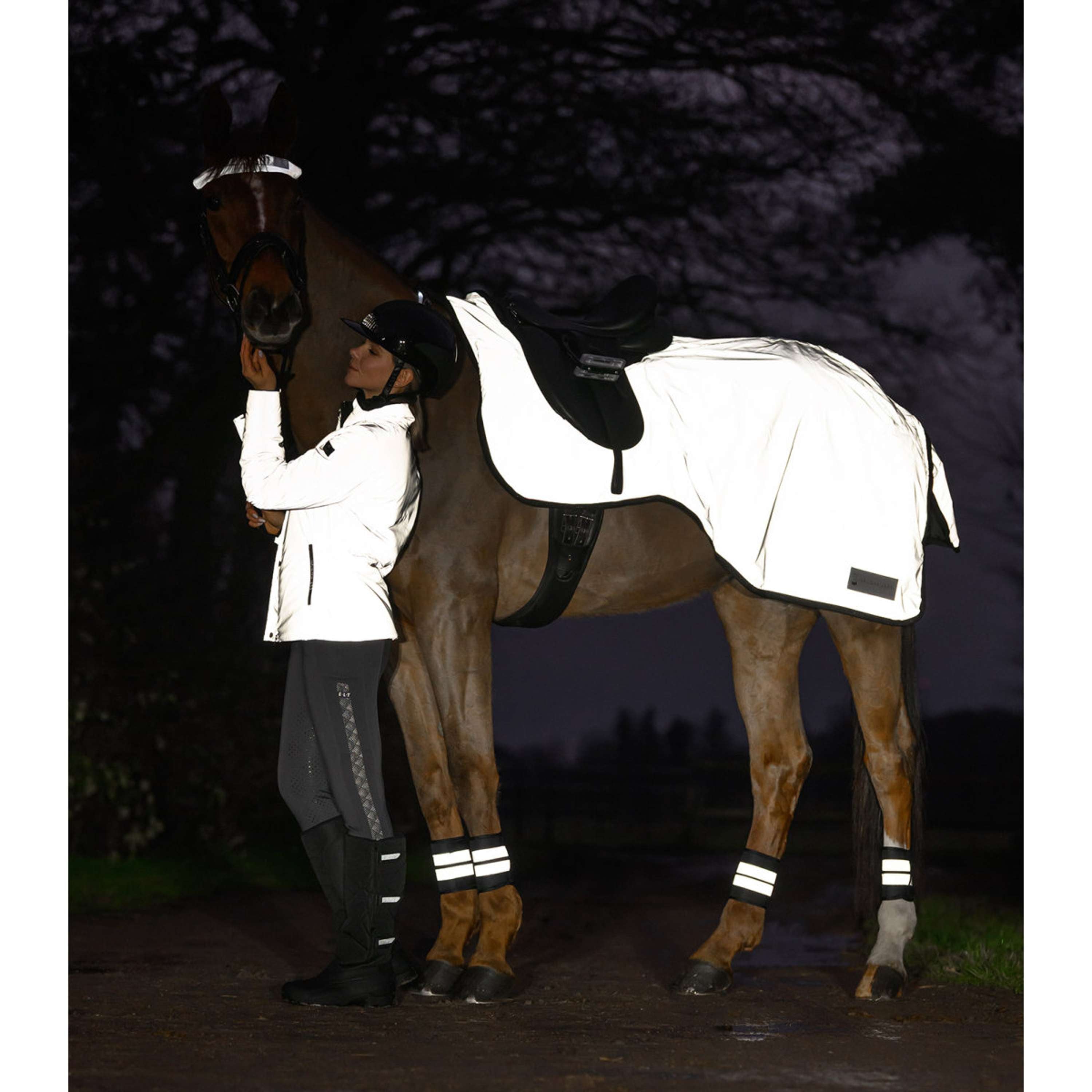 Waldhausen Exercise Rug Reflex Silver Grey