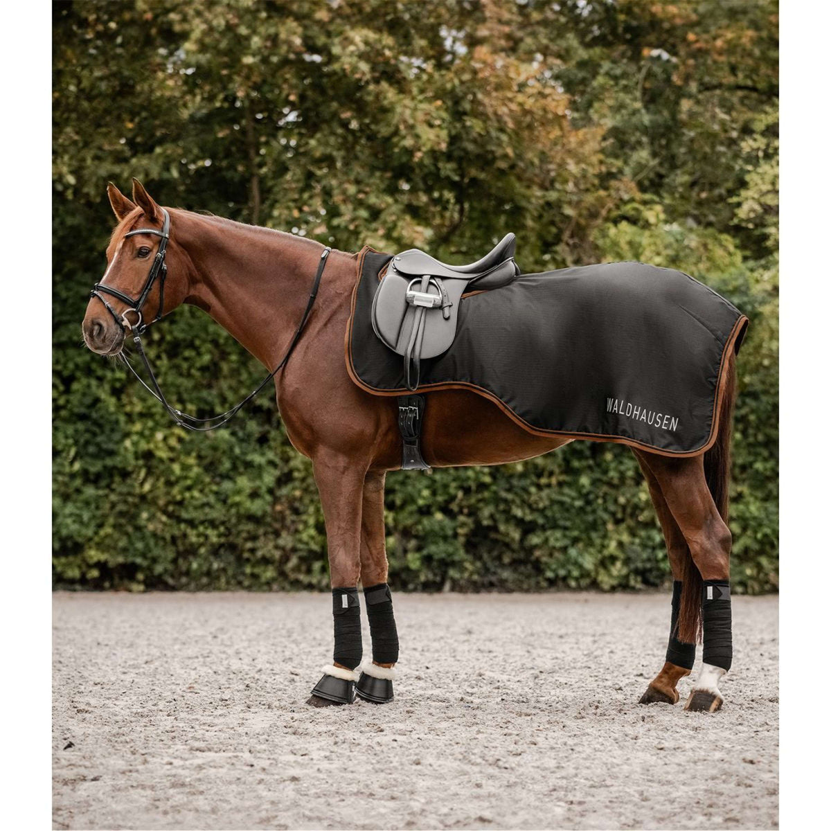 Waldhausen Rain Exercise Rug Perth 50g Black