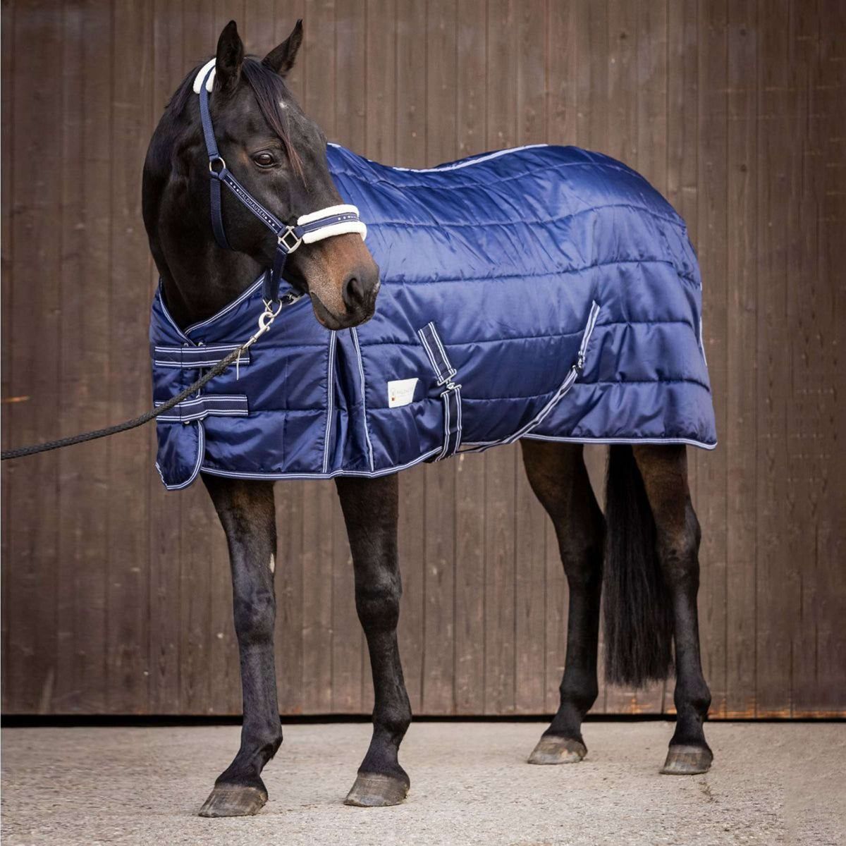 Waldhausen Stable Rug Economic 300g Night Blue