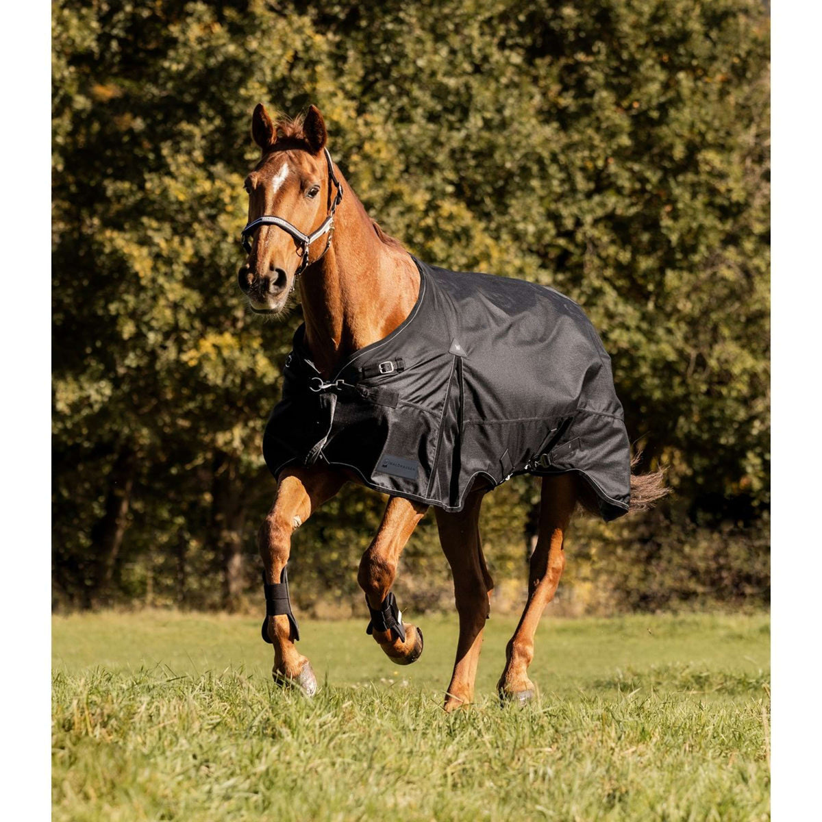 Waldhausen Outdoor Rug Scandic 50g Black