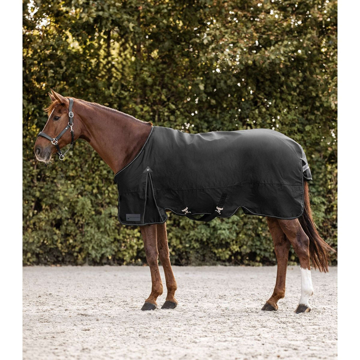 Waldhausen Outdoor Rug Arctic 50 g Black