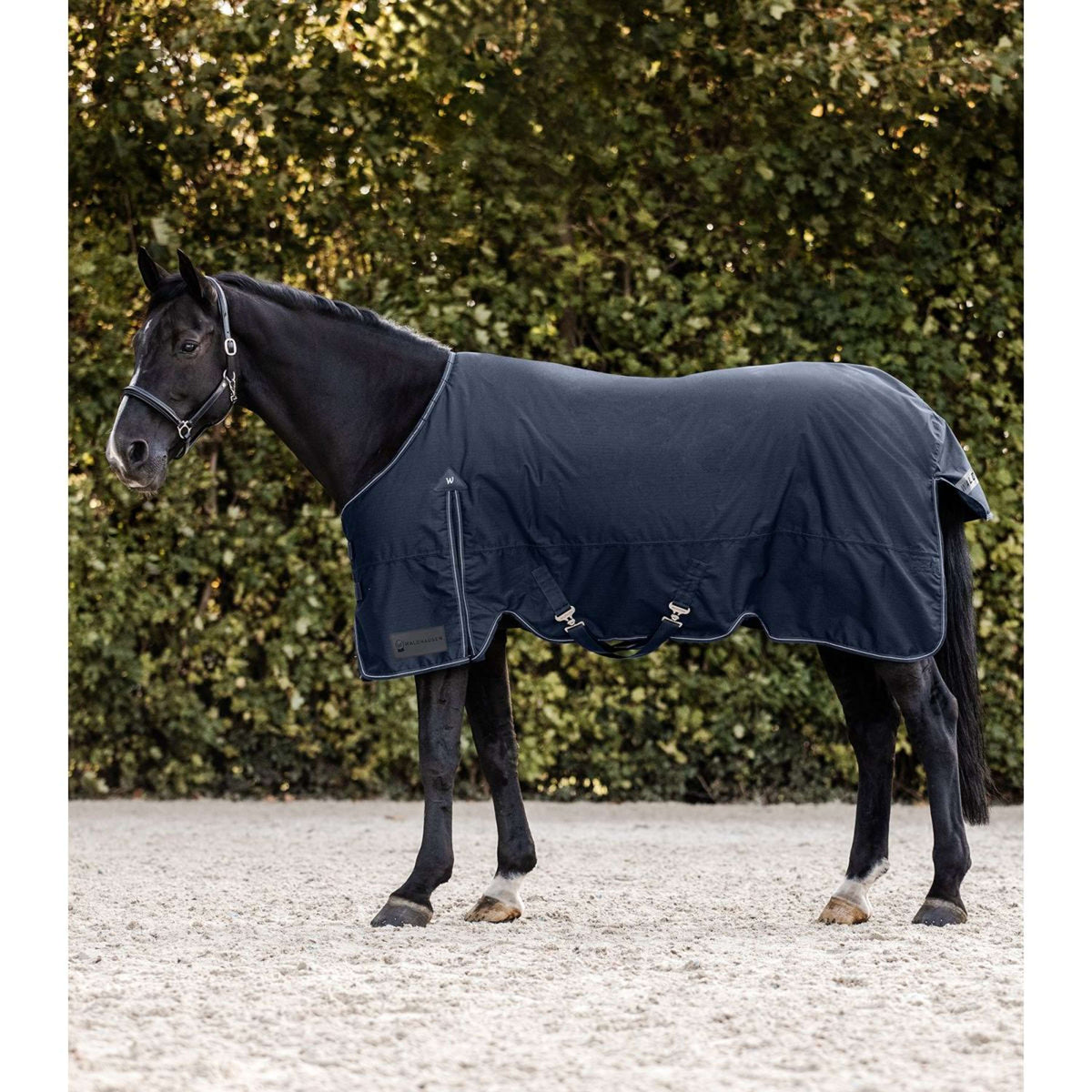 Waldhausen Outdoor Rug Arctic 50 g Night Blue