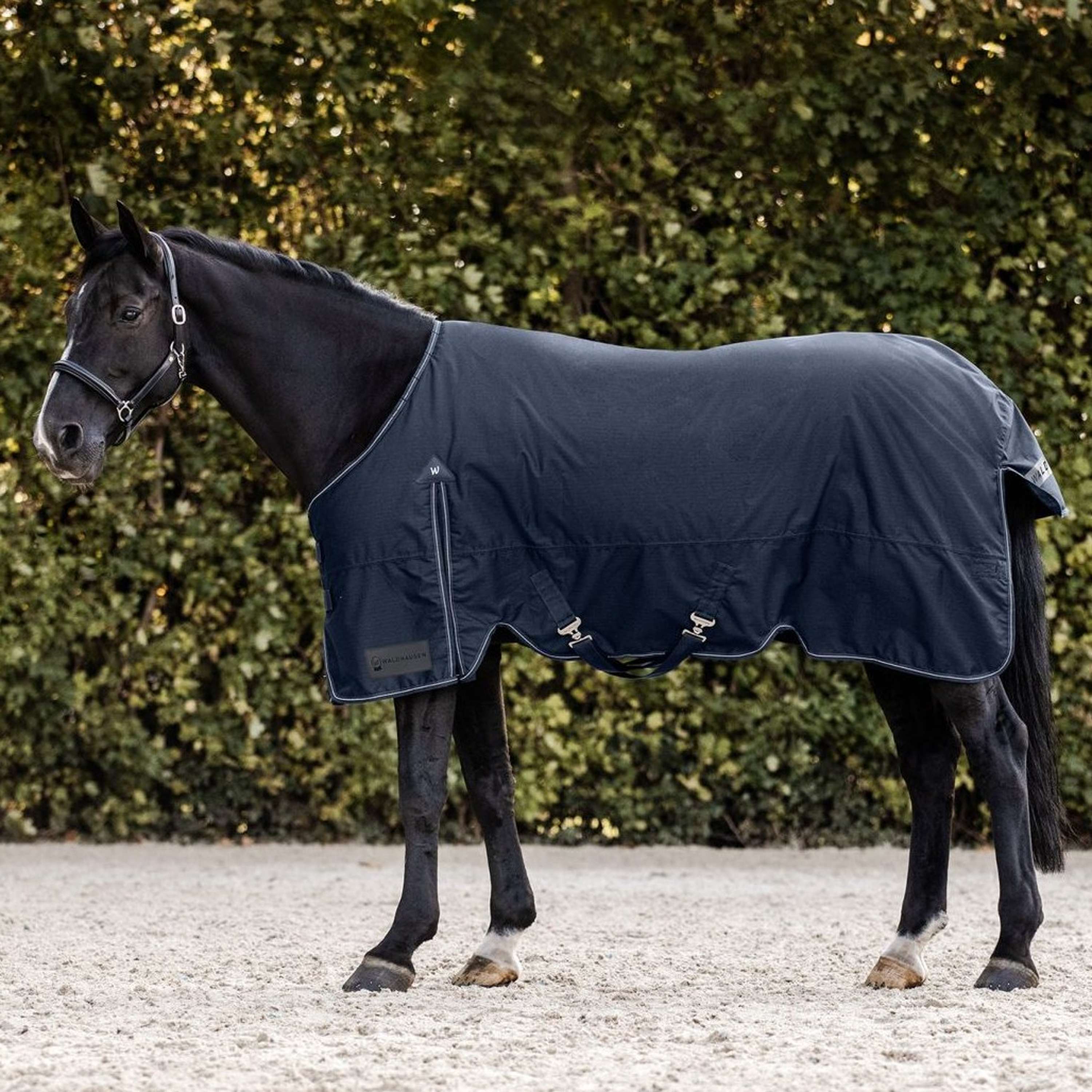 Waldhausen Outdoor Rug Arctic 50g Night Blue