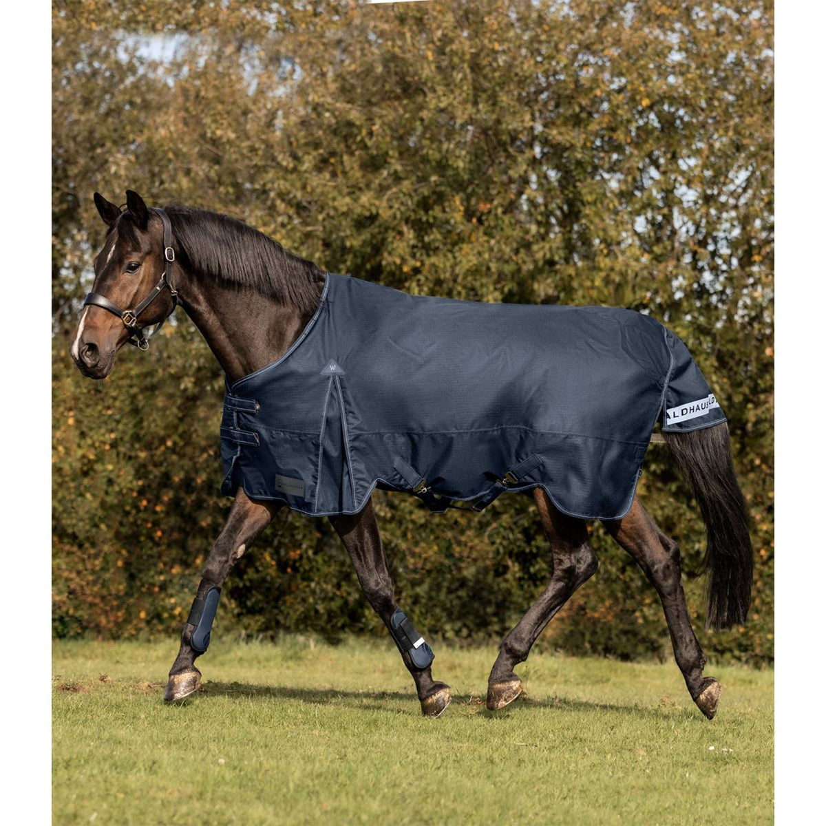 Waldhausen Outdoor Rug Arctic 50 g Night Blue