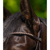 Waldhausen Browband X-Line Glam Brown Peach