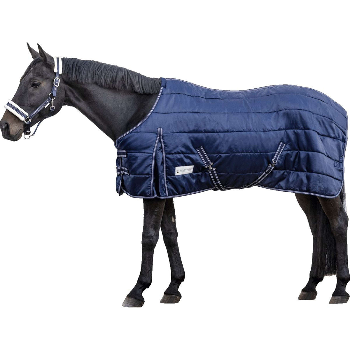 Waldhausen Stable Rug Economic 200g Night Blue