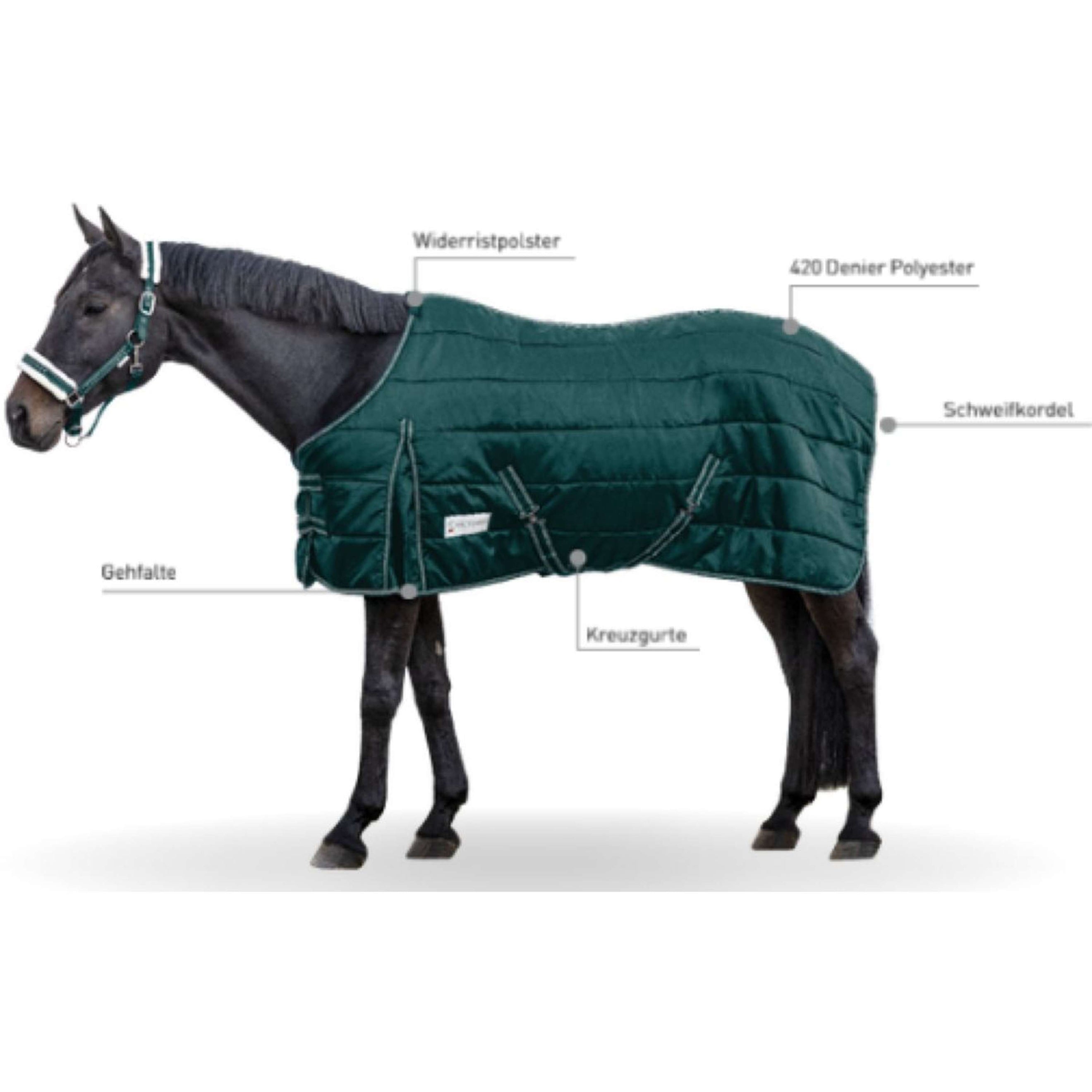 Waldhausen Stable Rug Economic 100gr Fir green