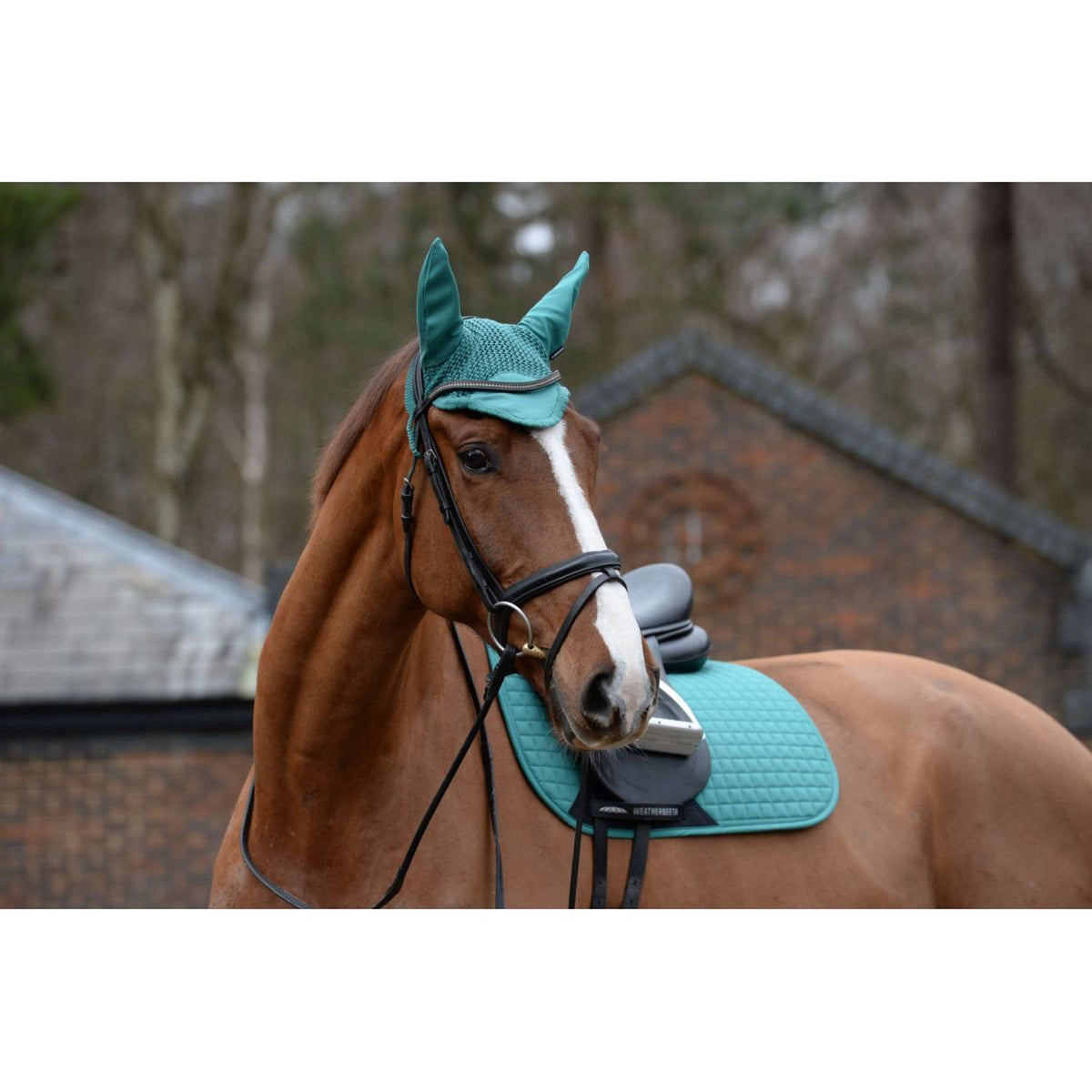 Weatherbeeta Ear Net Prime Green