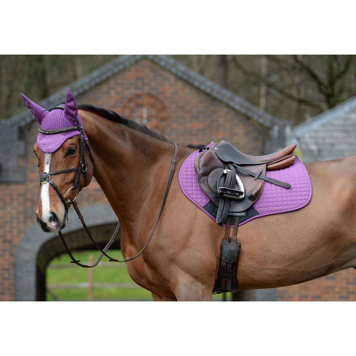 Weatherbeeta Saddlepad Prime Jumping Violet