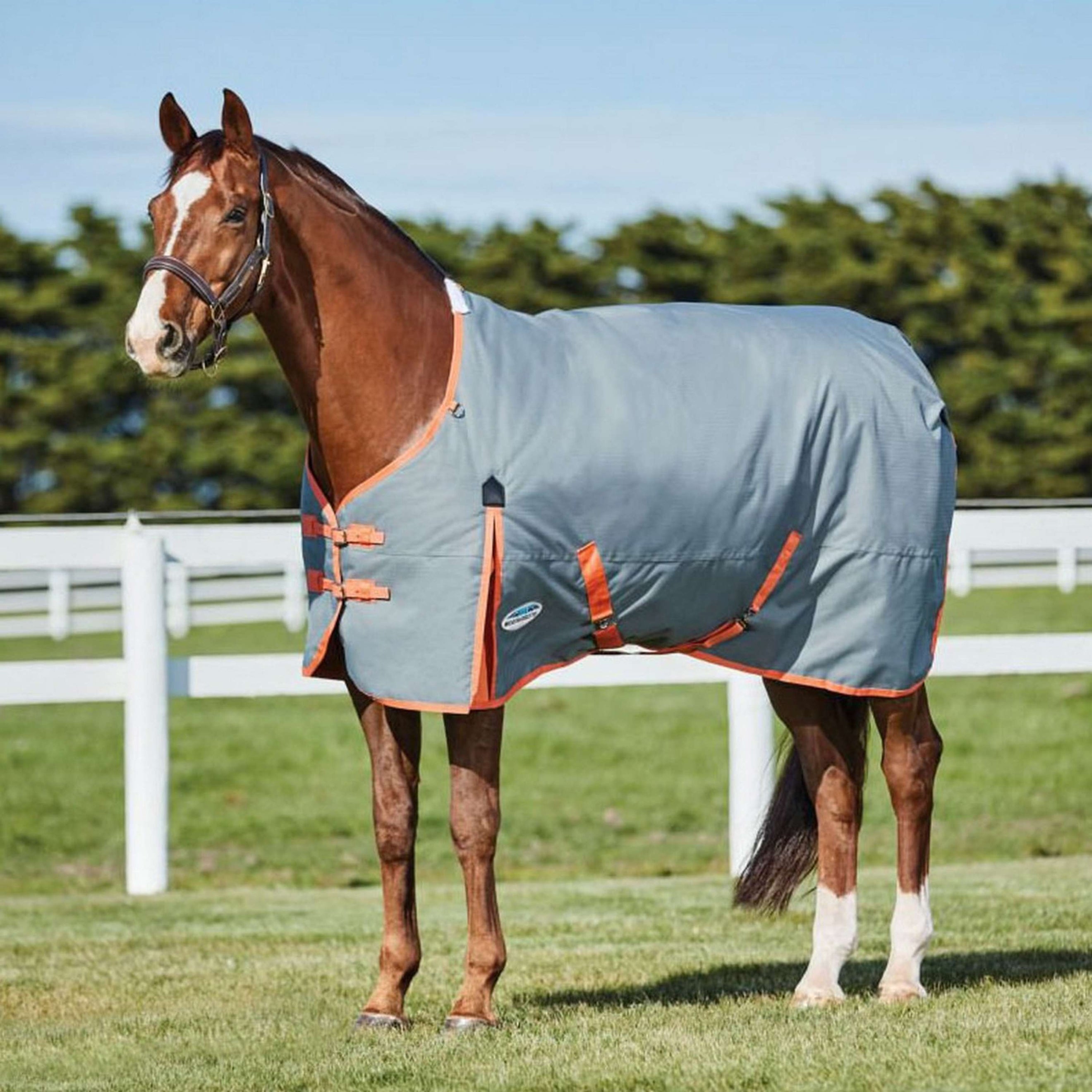 WeatherBeeta ComFiTec Classic Standard Neck Medium 220g Gunmetal/Coral