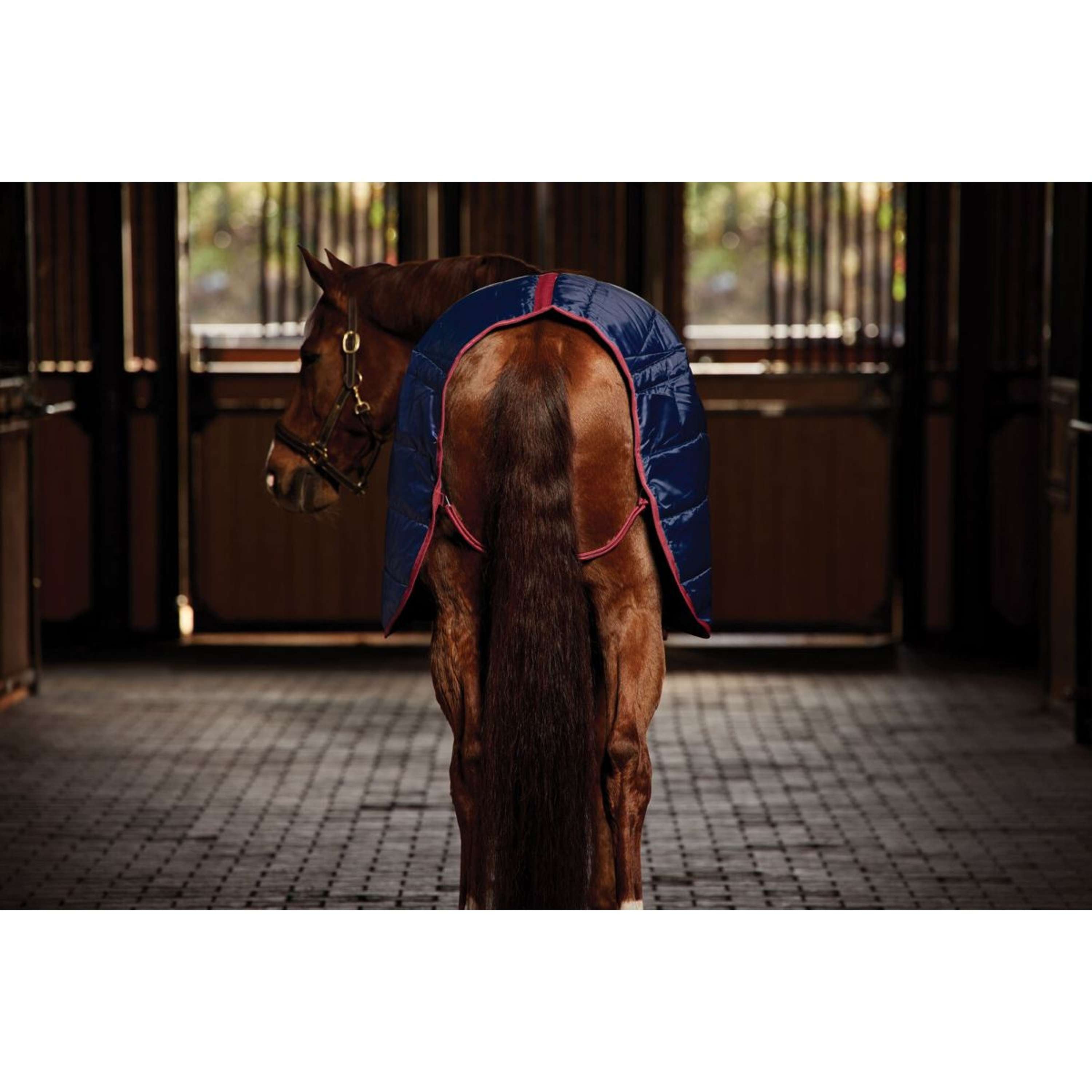 WeatherBeeta Stable Rug ComFiTec 210D Channel Quilt Standard Neck 100g Navy/Burgundy