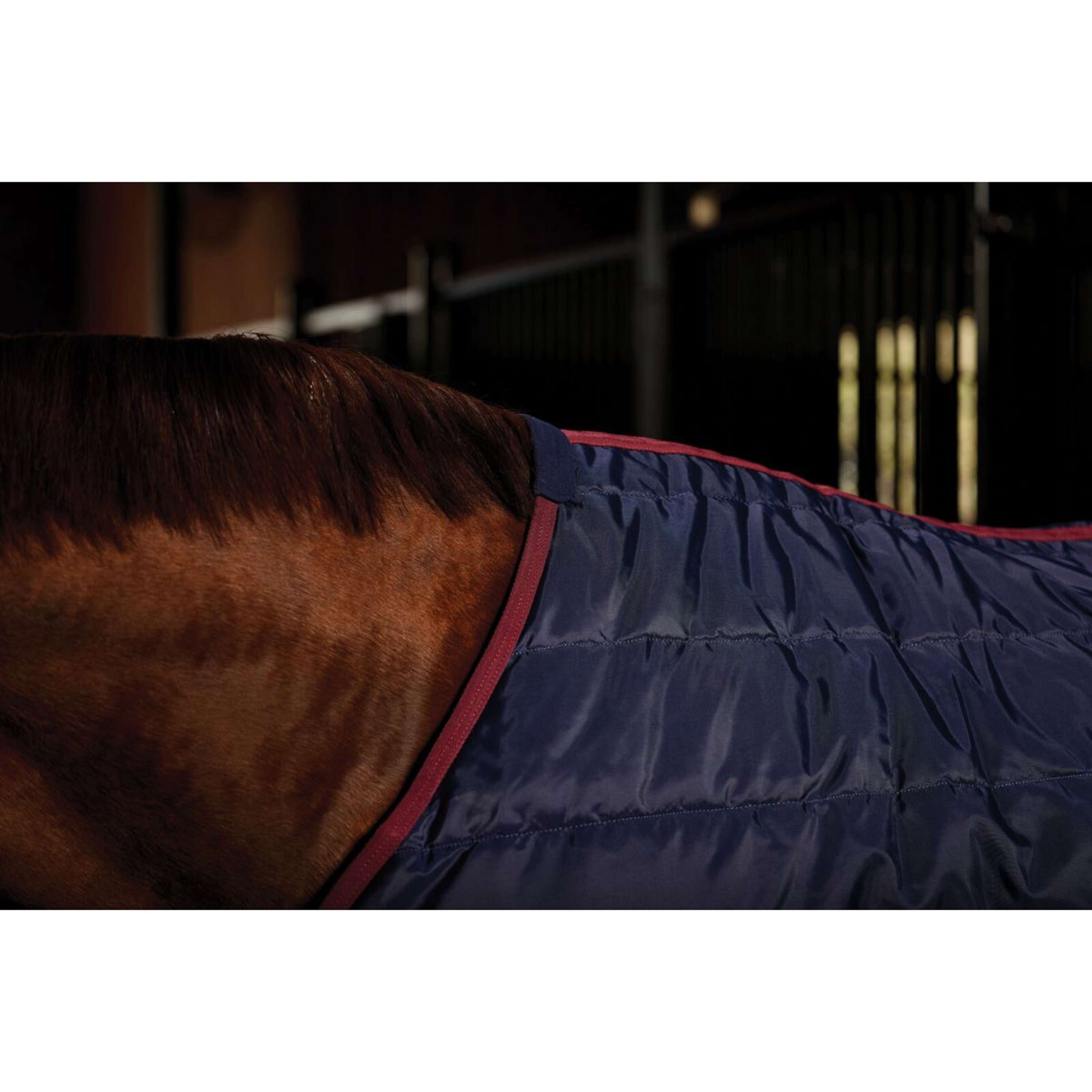 WeatherBeeta Stable Rug ComFiTec 210D Channel Quilt Standard Neck 100g Navy/Burgundy