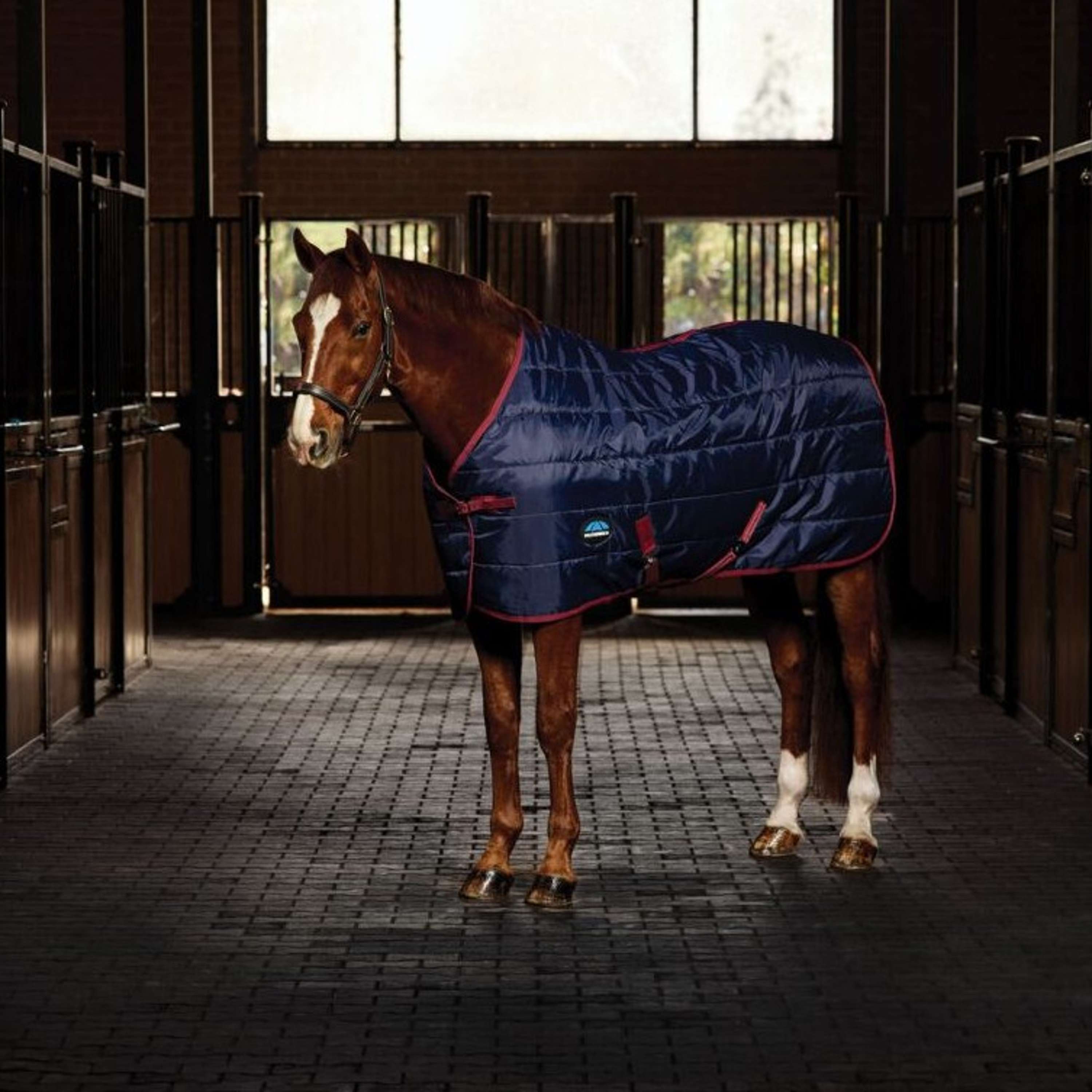 WeatherBeeta Stable Rug ComFiTec 210D Channel Quilt Standard Neck 100g Navy/Burgundy