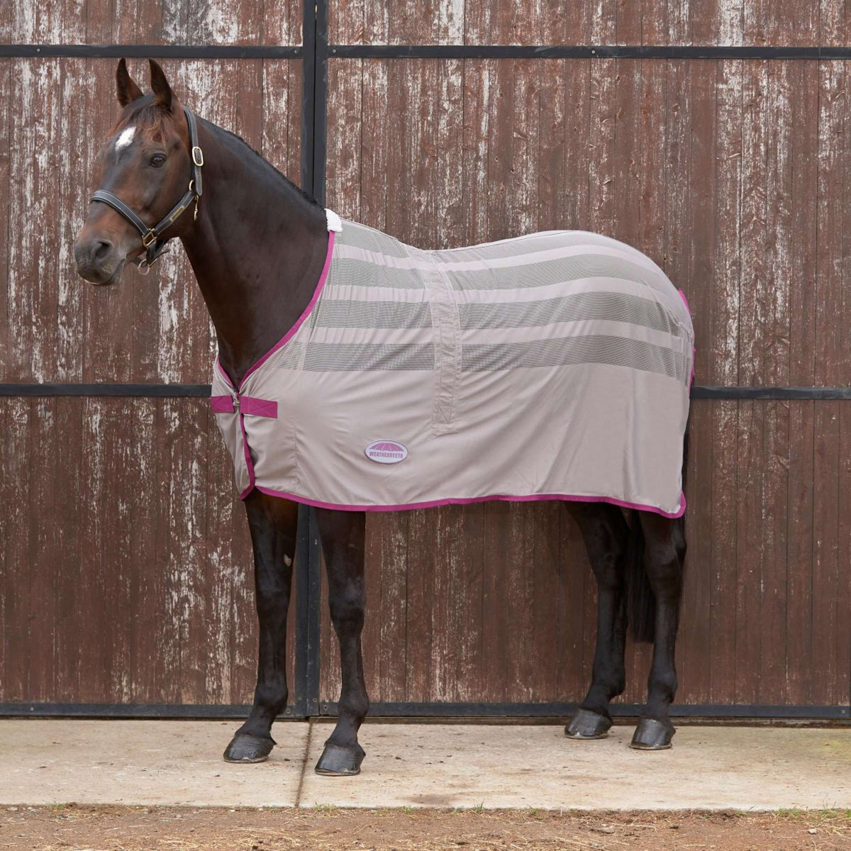 Weatherbeeta Sweat Rug Scrim Standard Neck Dark Grey/Orchid