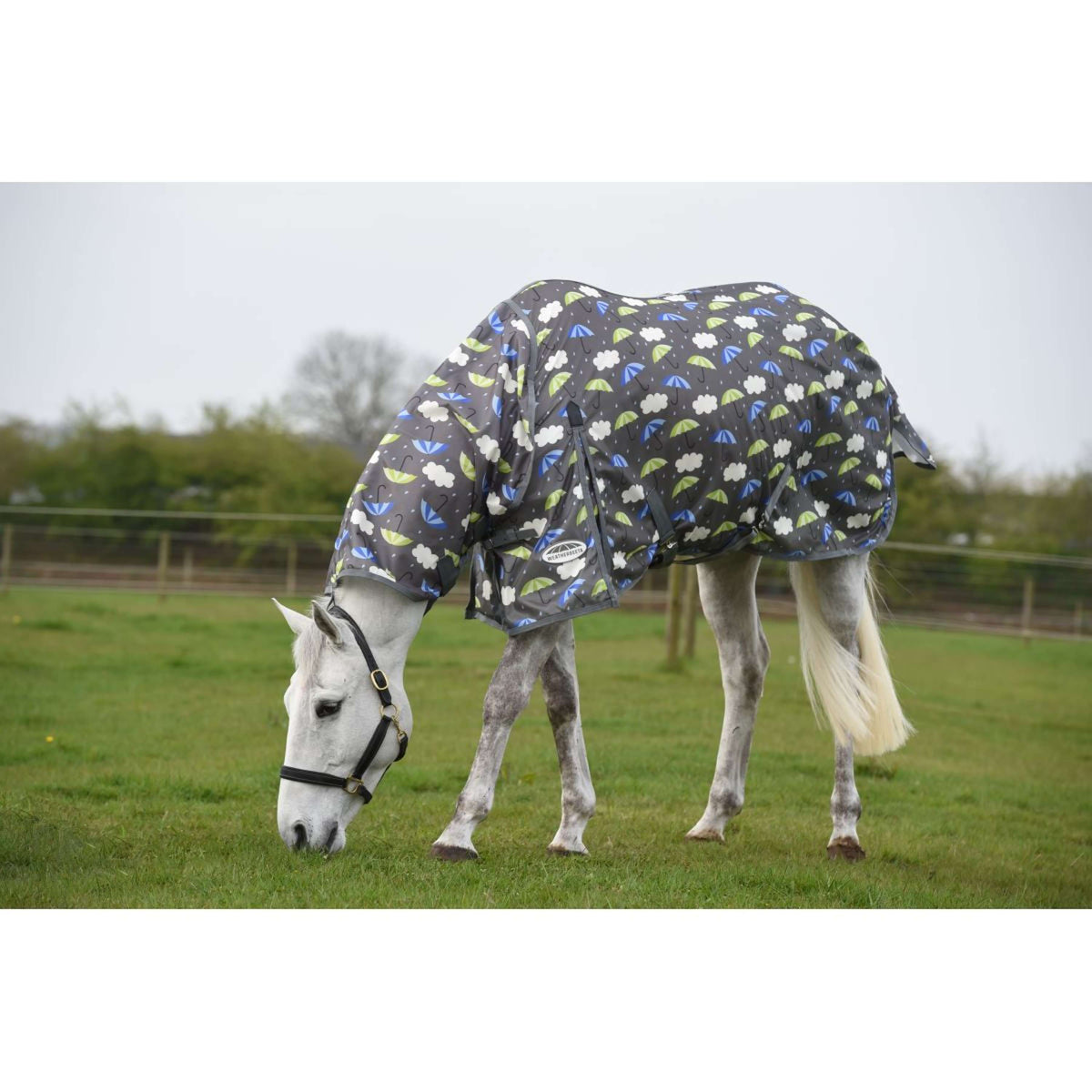 Weatherbeeta Fly Rug Comfitec Essential Mesh II Combo Neck Umbrella Print