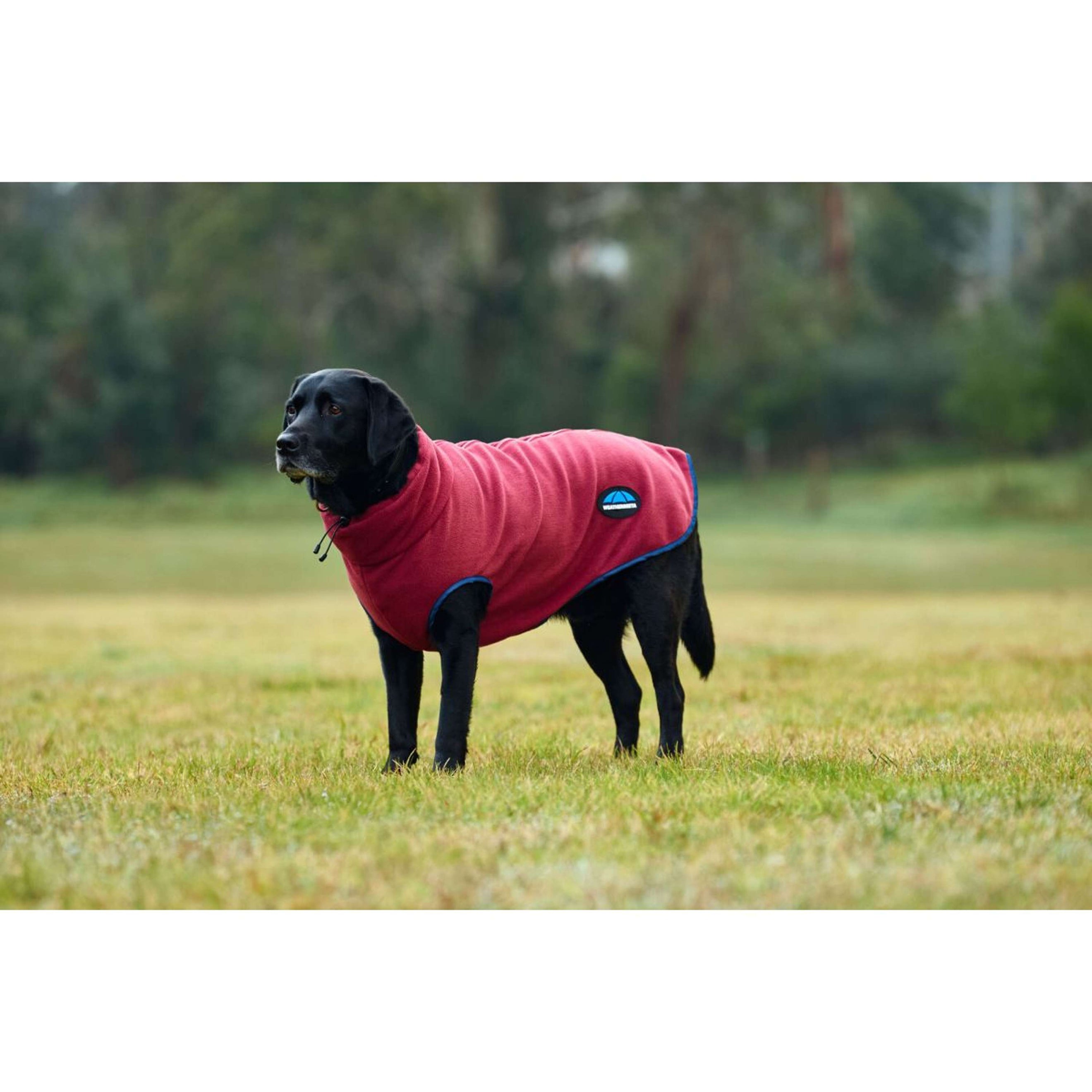WeatherBeeta Dog Rug ComFiTec Fleece Zip Burgundy/Navy