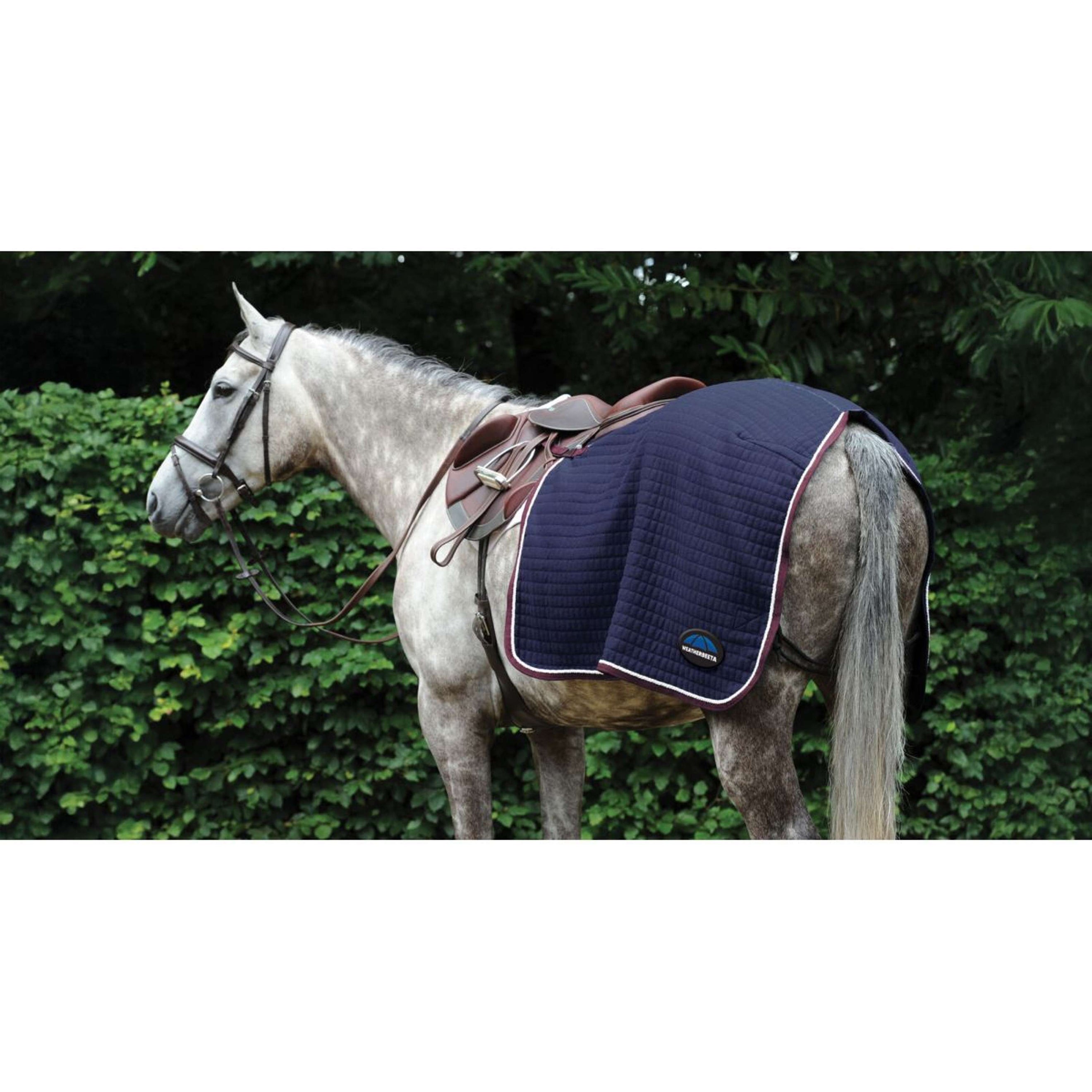 WeatherBeeta Exercise Rug Thermocell Quarter Sheet Navy/Burgundy