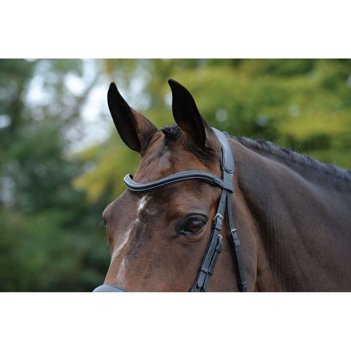 Collegiate Bridle Comfitec Vogue Anatomic Black