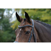 Collegiate Bridle Comfitec Vogue Anatomic Black