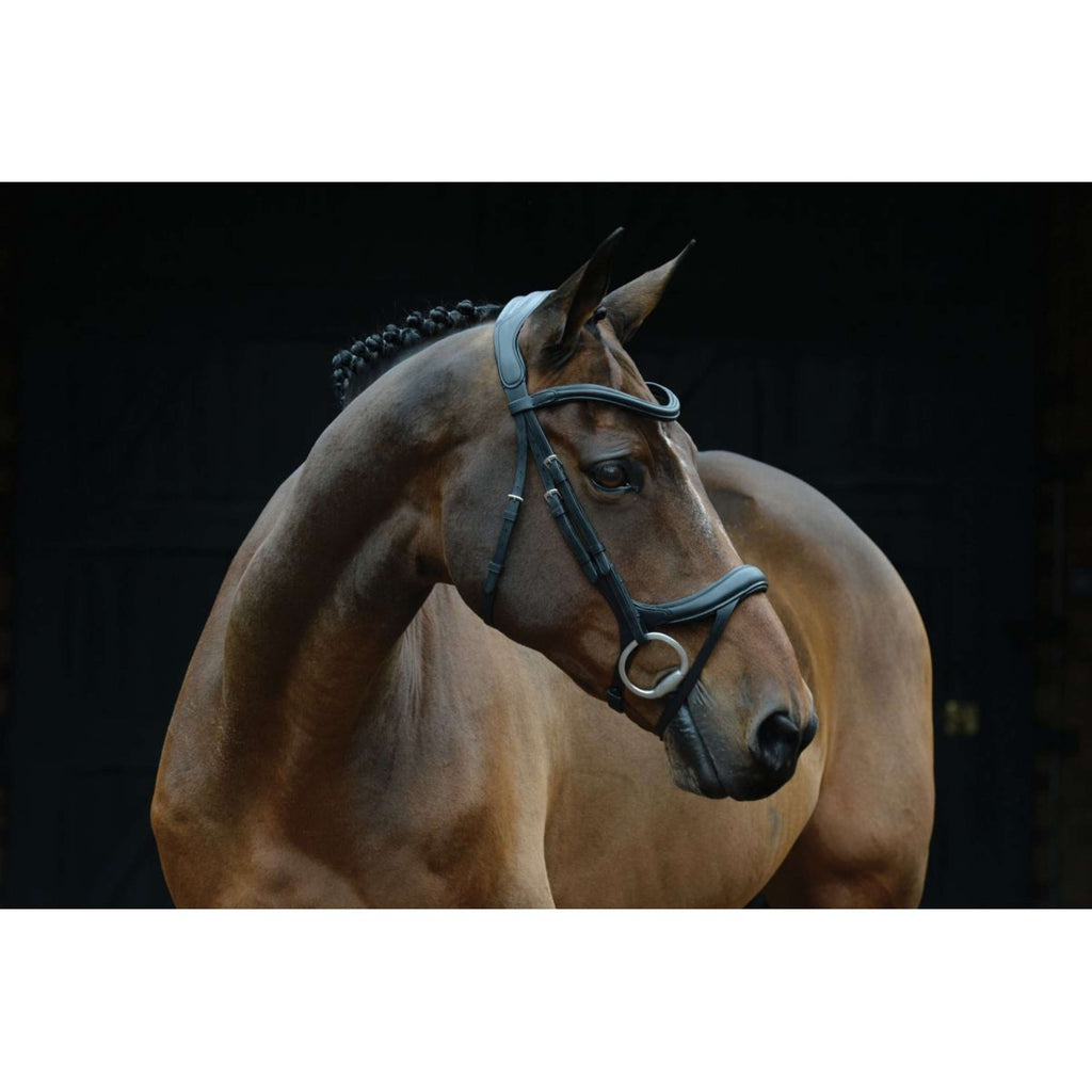 Collegiate Bridle ComFiTec Vogue Anatomic Black