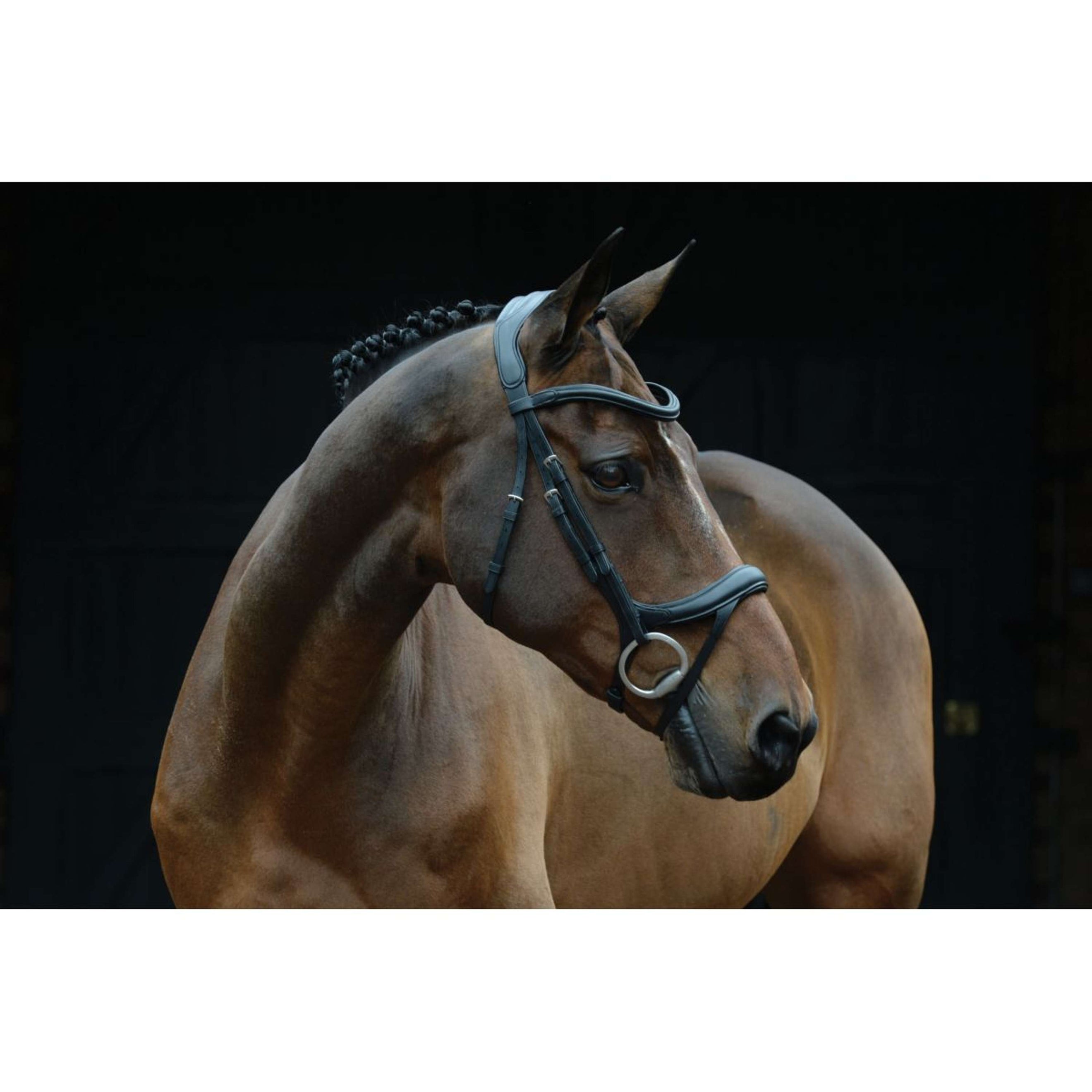 Collegiate Bridle ComFiTec Vogue Anatomic Black Collegiate Bridle ComFiTec Vogue Anatomic Black