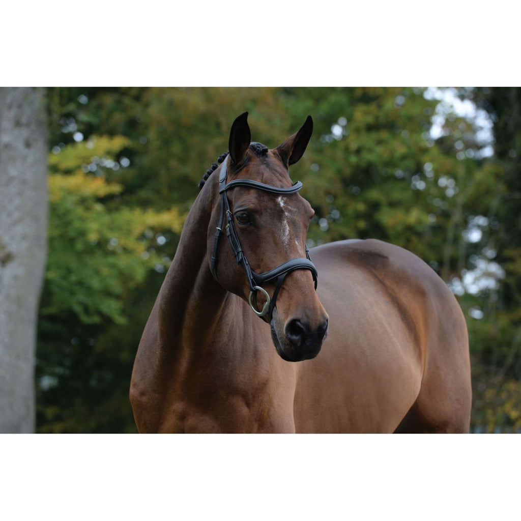 Collegiate Bridle ComFiTec Vogue Anatomic Black