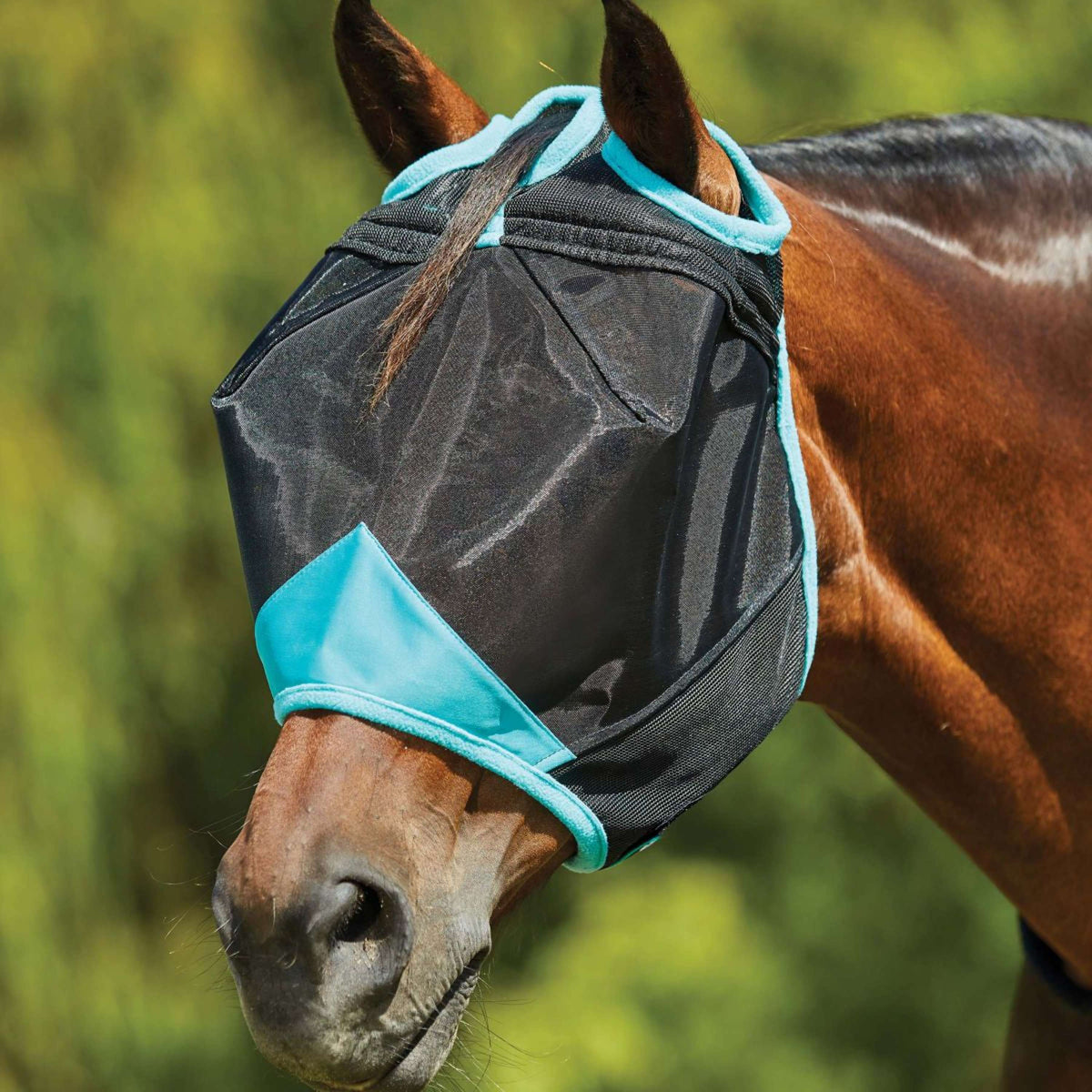 Weatherbeeta Fly Mask Comfitec Deluxe Fine Mesh Black / Turquoise