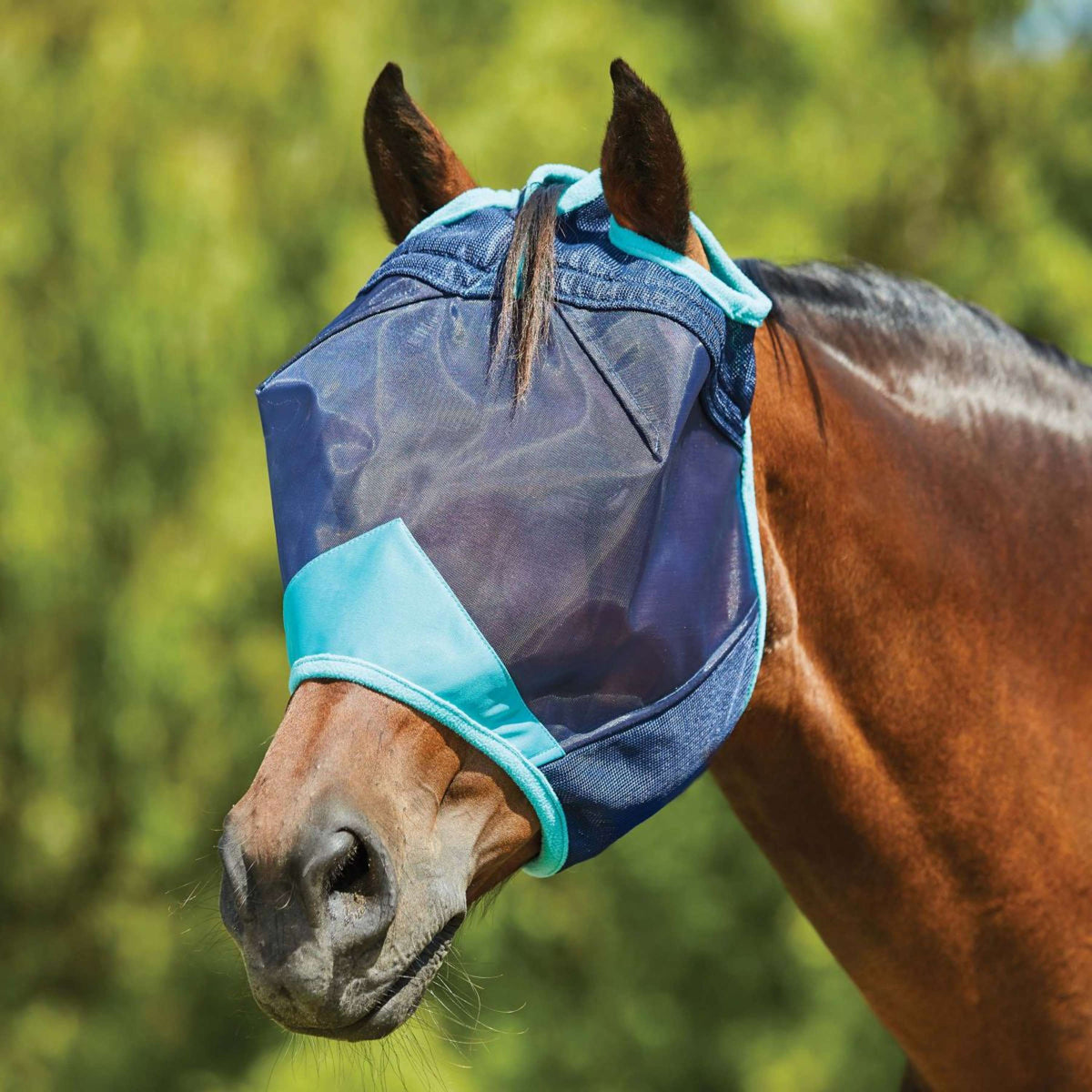 Weatherbeeta Fly Mask Comfitec Deluxe Fine Mesh Navy/Turquoise