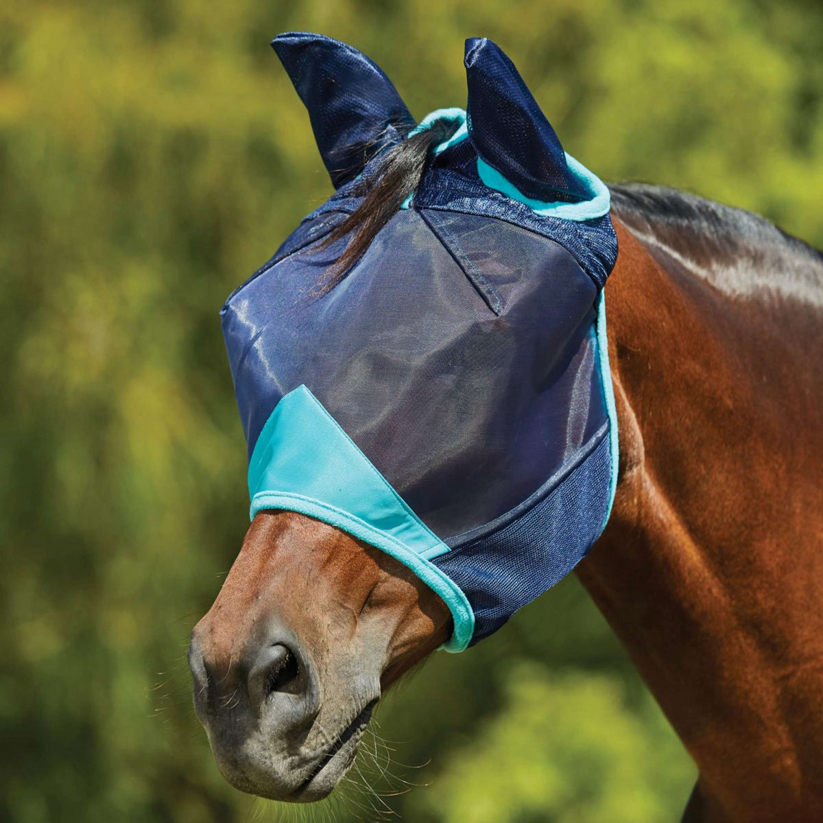 Weatherbeeta Fly Mask Comfitec Deluxe Fine Mesh with Ears Navy/Turquoise