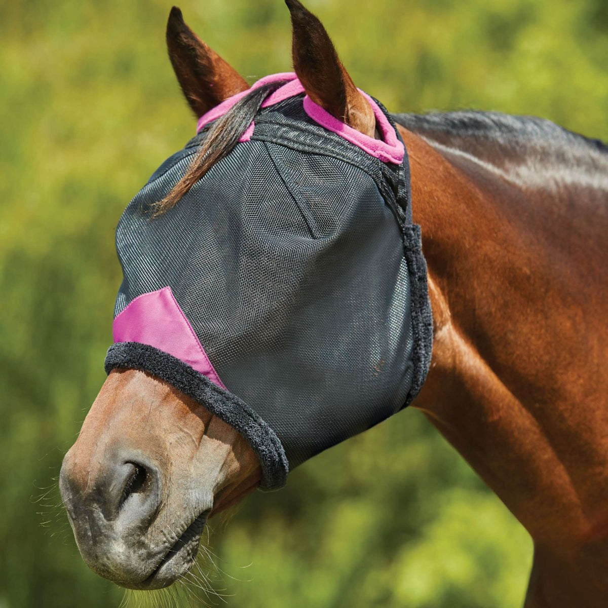 Weatherbeeta Fly Mask Comfitec Deluxe Durable Mesh Black/Purple